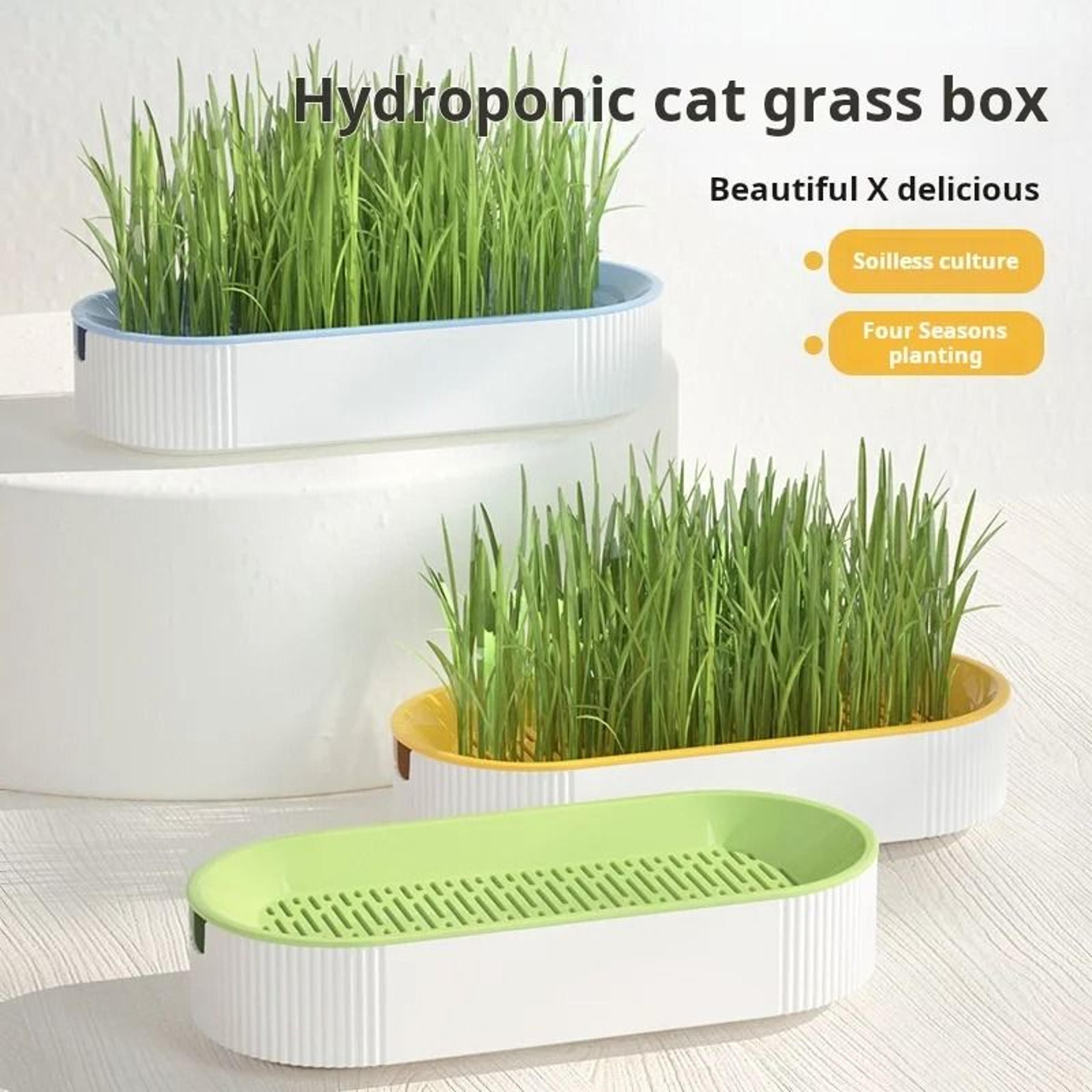 Hydroponic Cat Grass Growing Kit With Soilless Planter For Fresh Pet Treats 3
