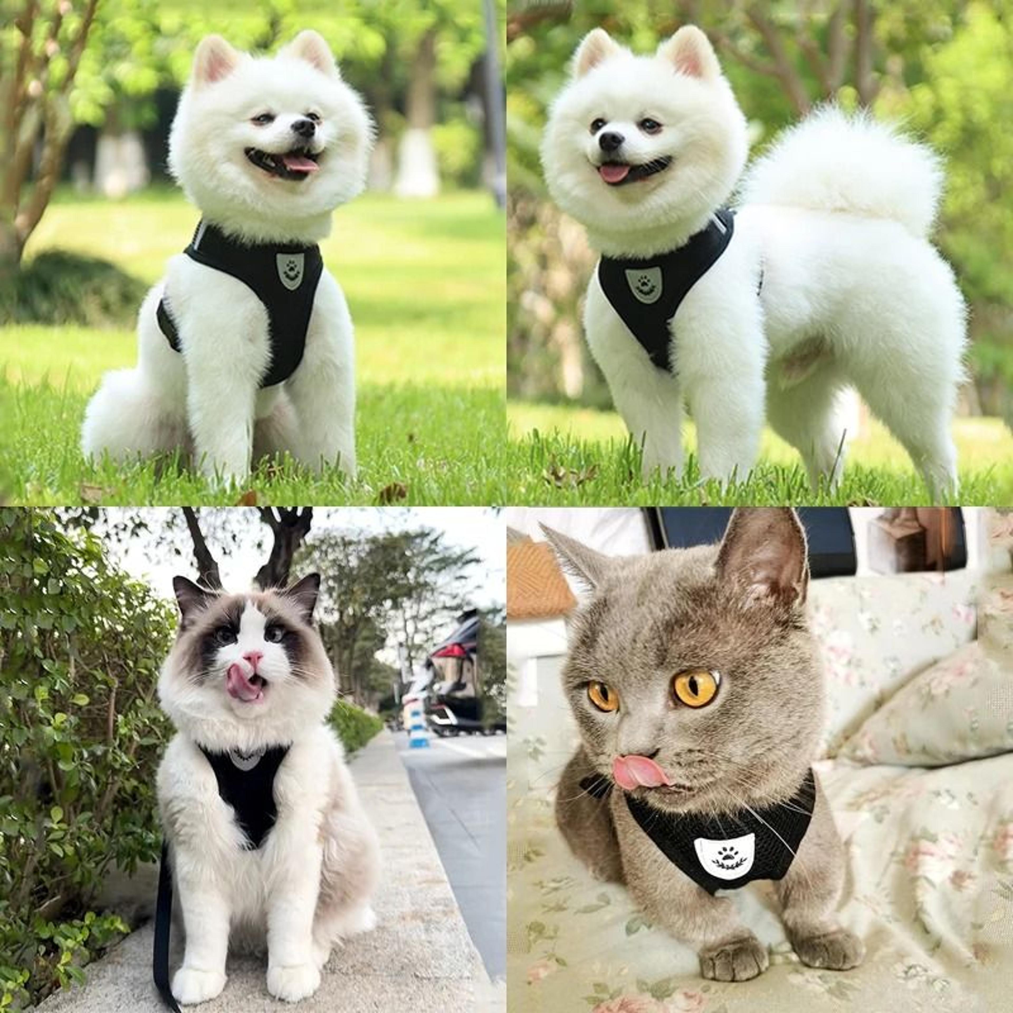 EscapeProof Reflective Cat Harness And Leash Set Adjustable Kitten Vest For Outdoor Walking 5