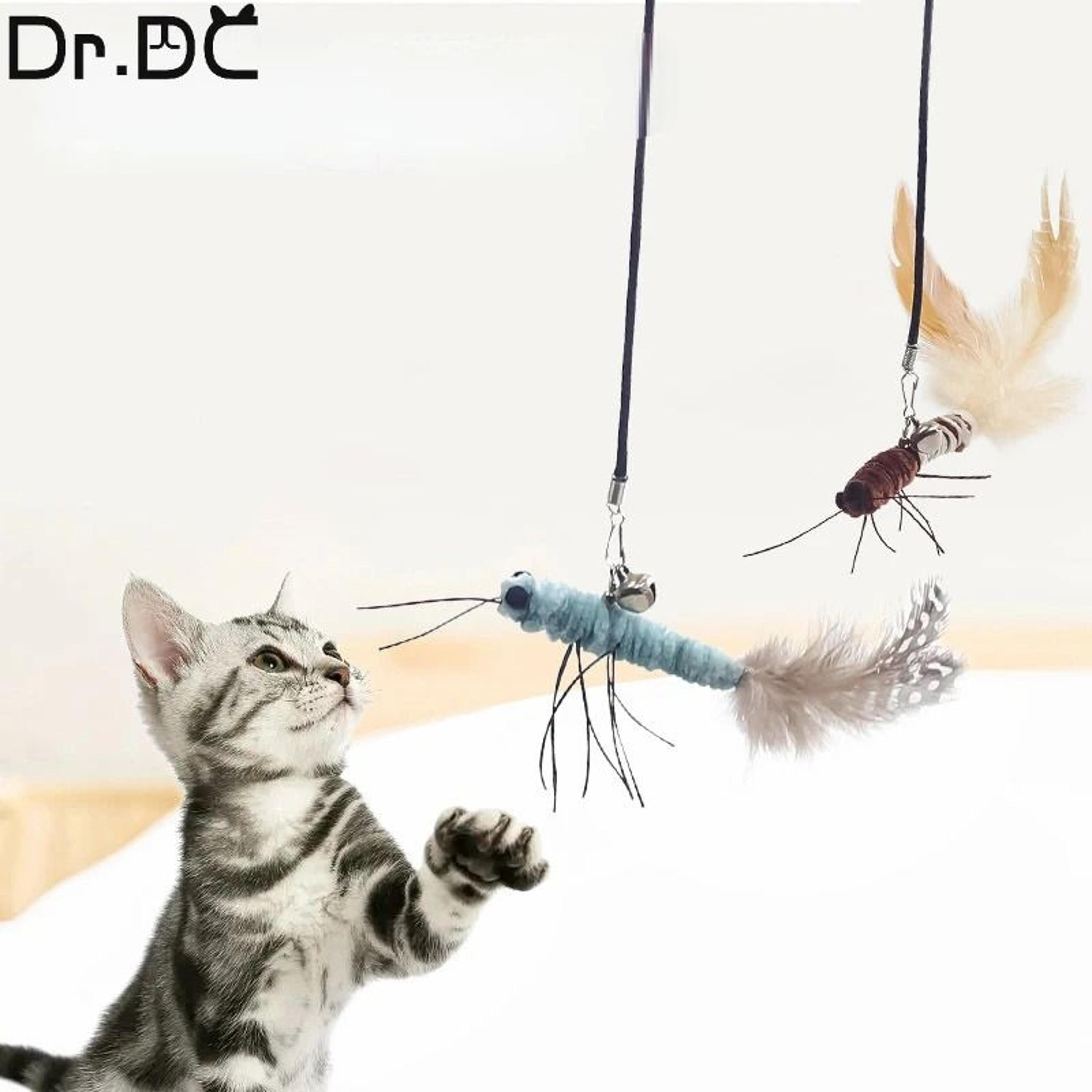 Dragonfly Feather Cat Teaser Wand Toy 2
