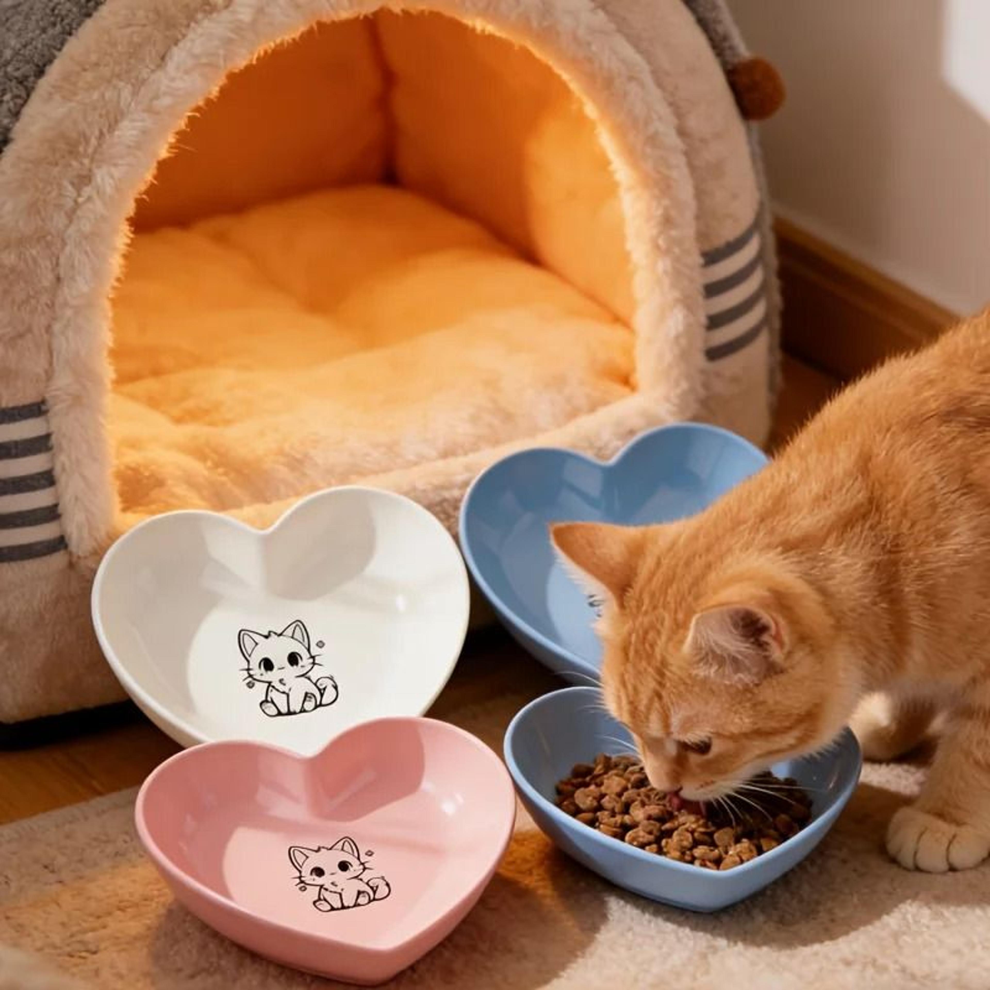 3Piece Shallow NonSlip Pet Bowl Set 1