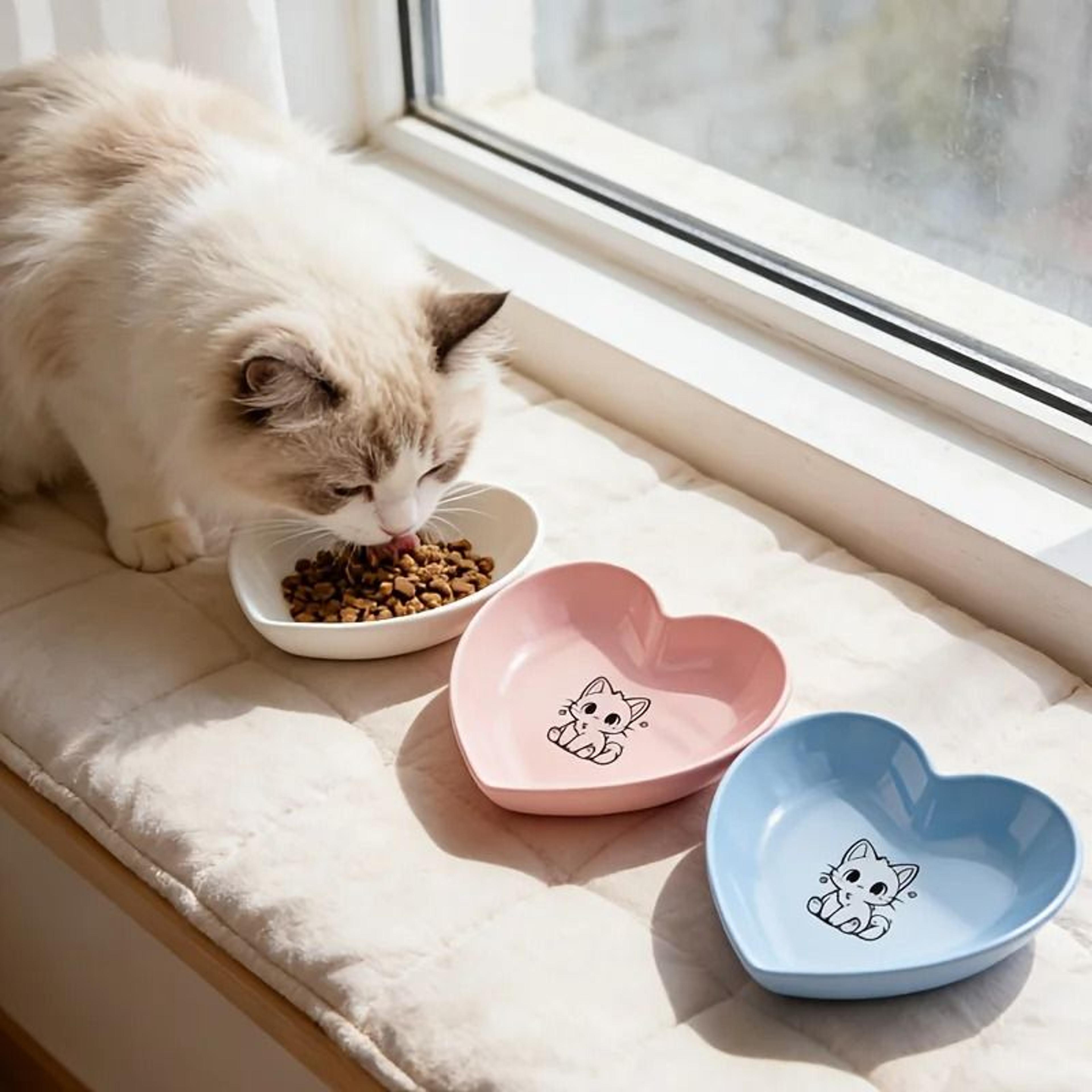 3Piece Shallow NonSlip Pet Bowl Set 4