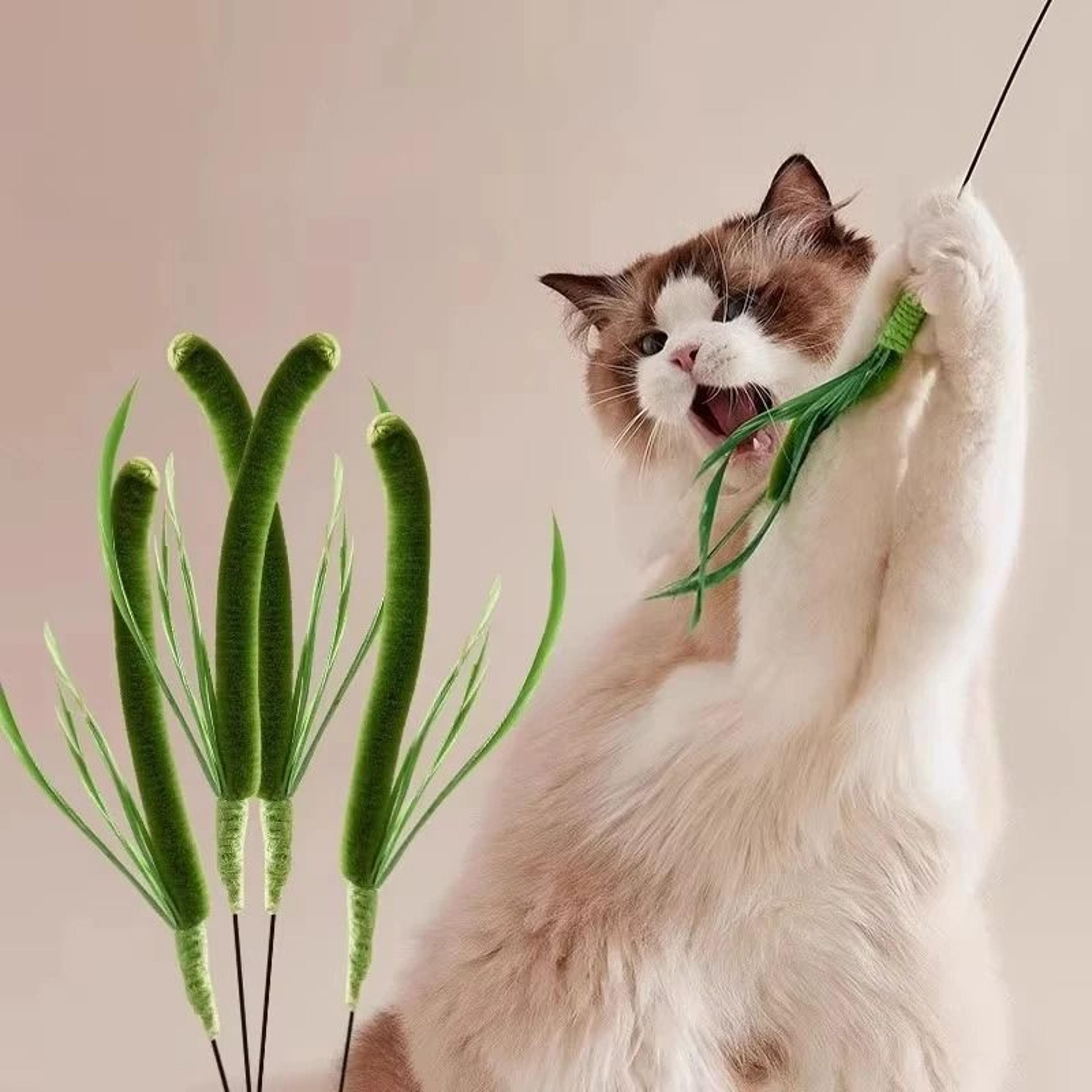 Long Pole Feather Cat Teaser Toy 2