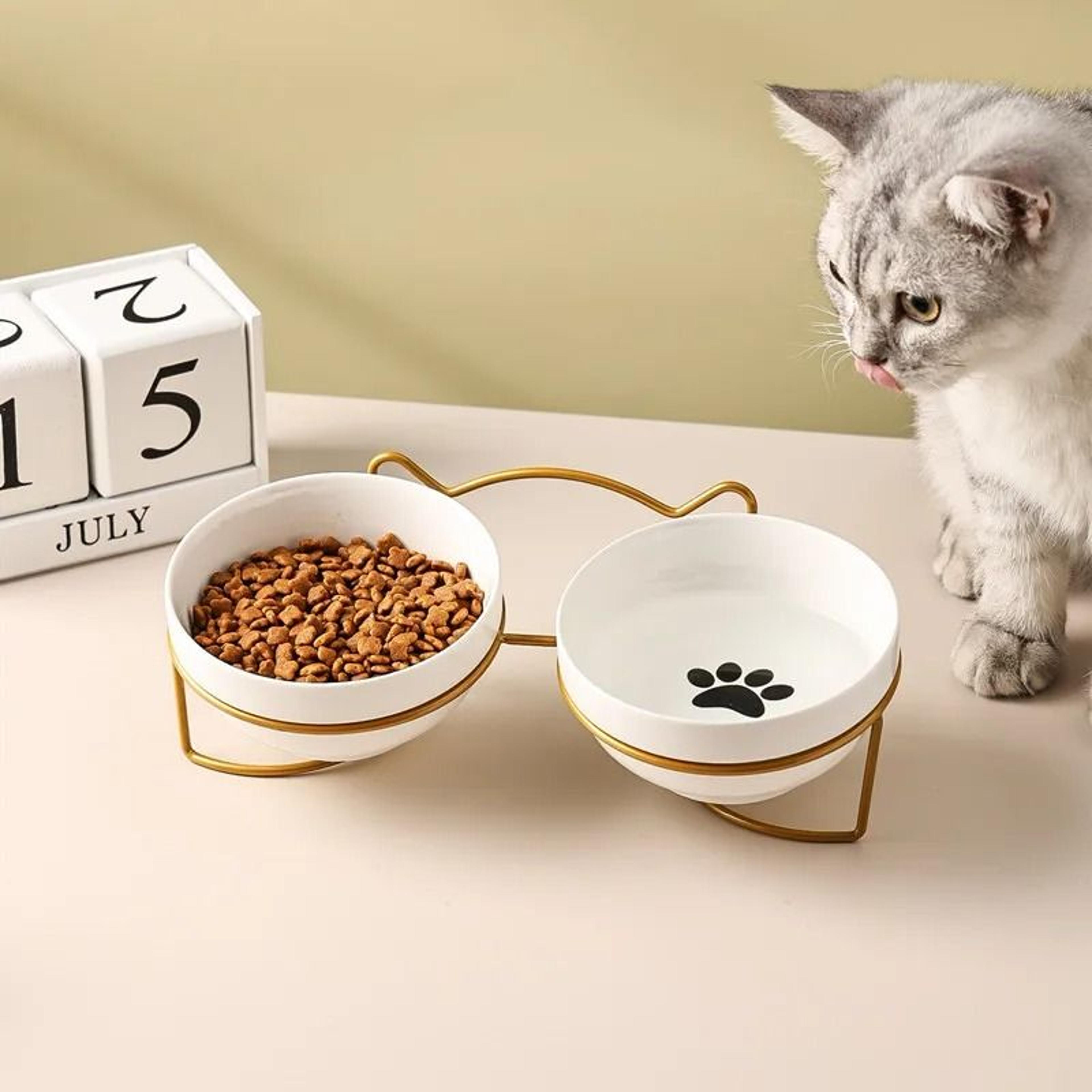 raised ceramic double cat bowl for food and water