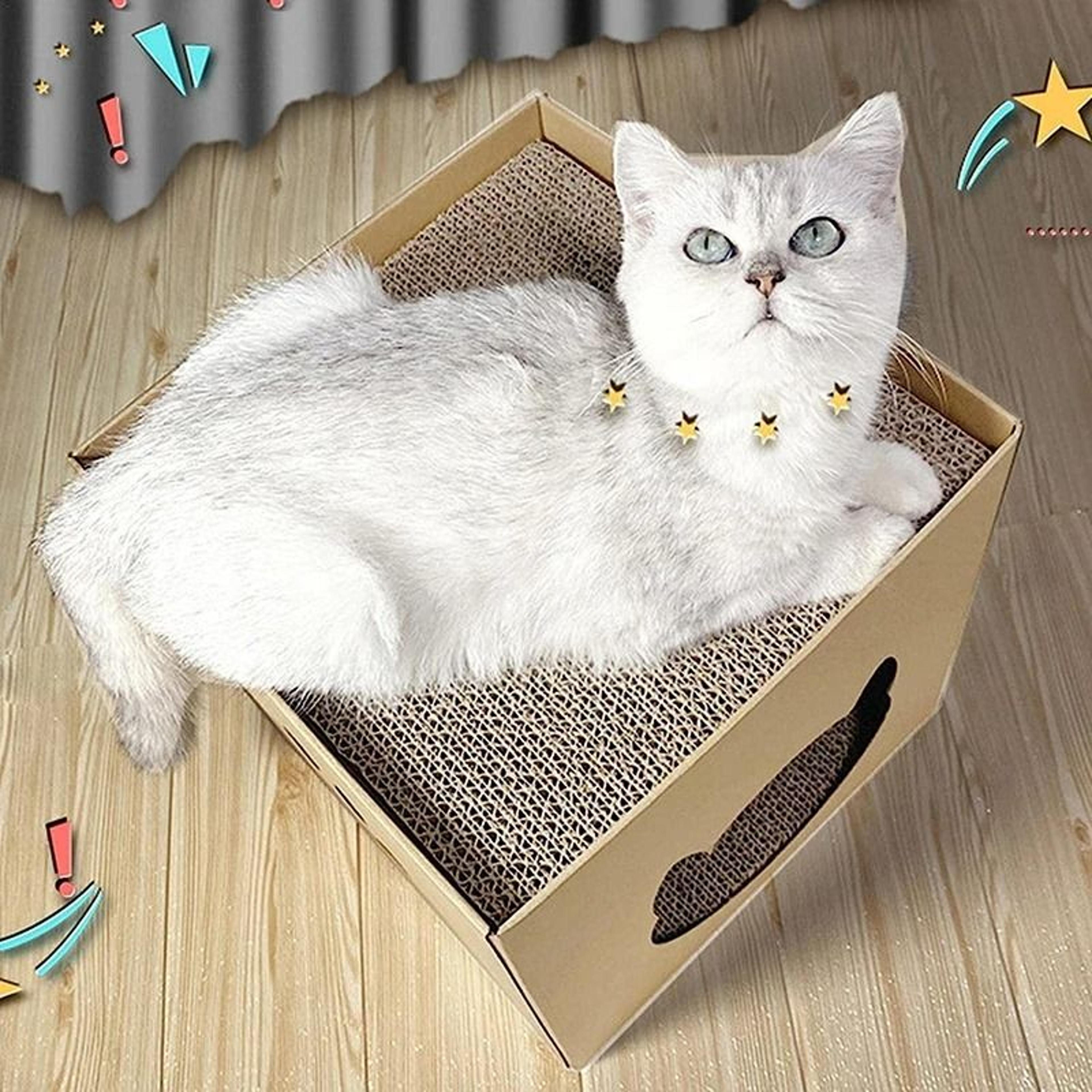 Foldable Cat House Scratching Board 2