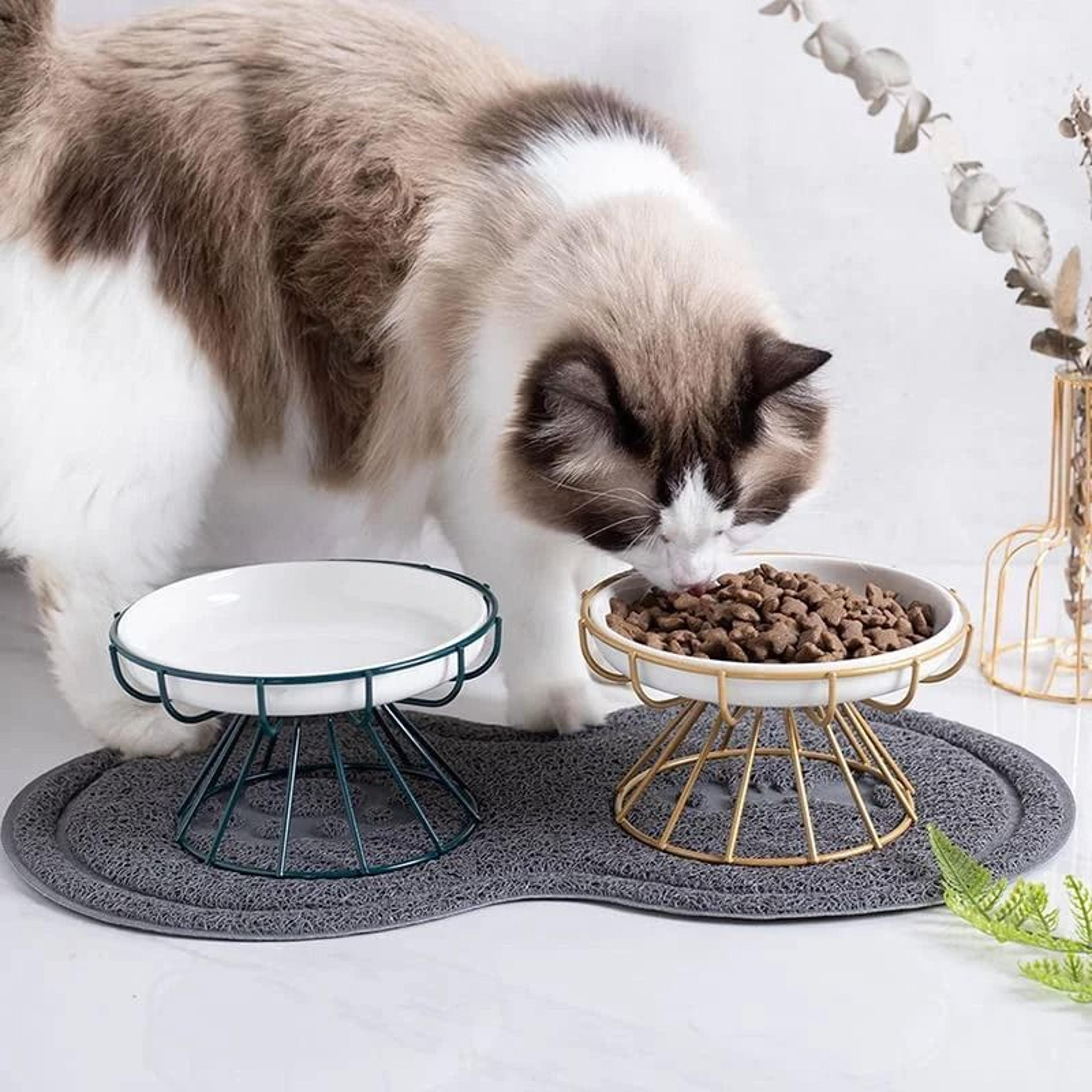 raised ceramic cat bowl with metal stand