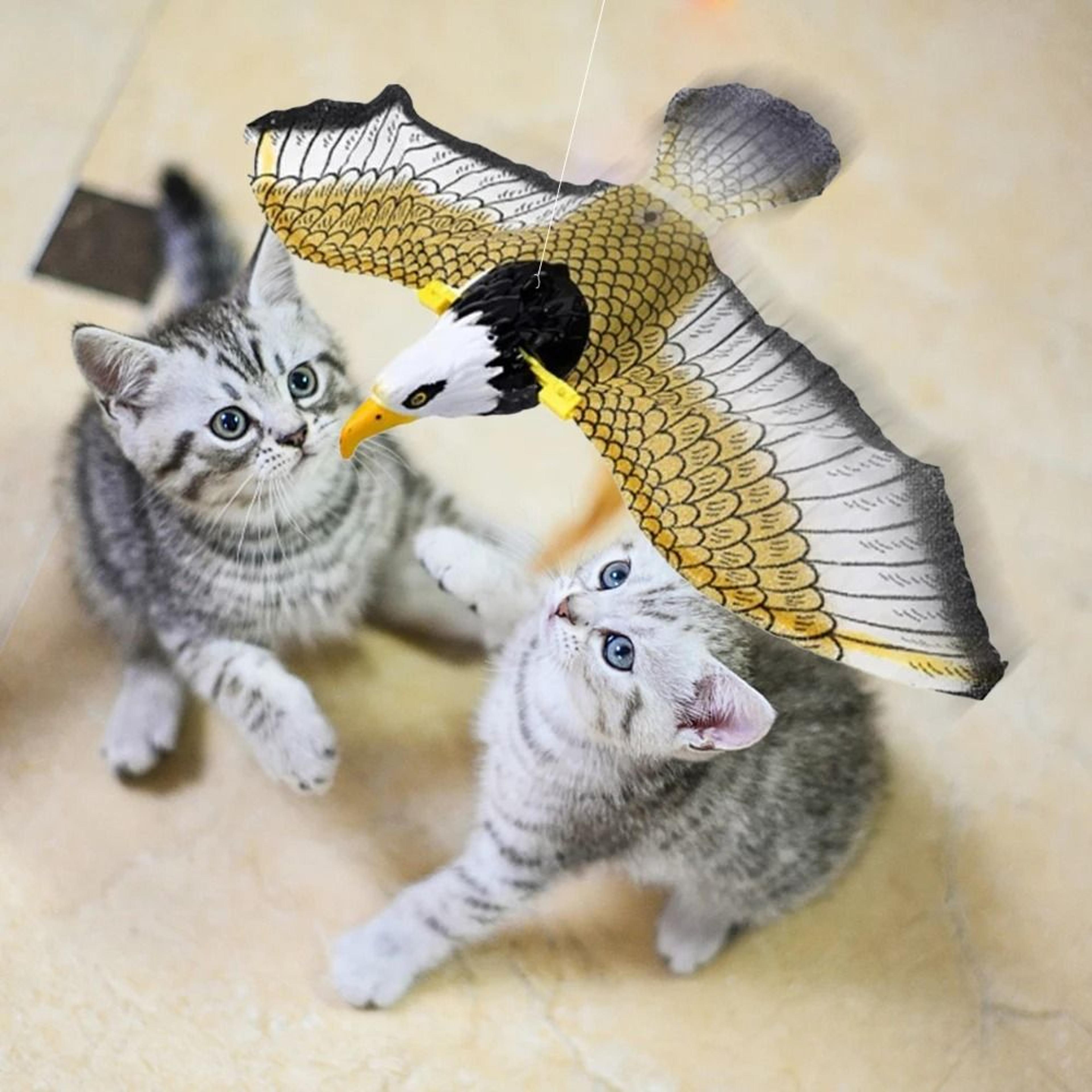 Interactive Flying Bird Cat Toy With Hanging Rope  Automatic Motion 5