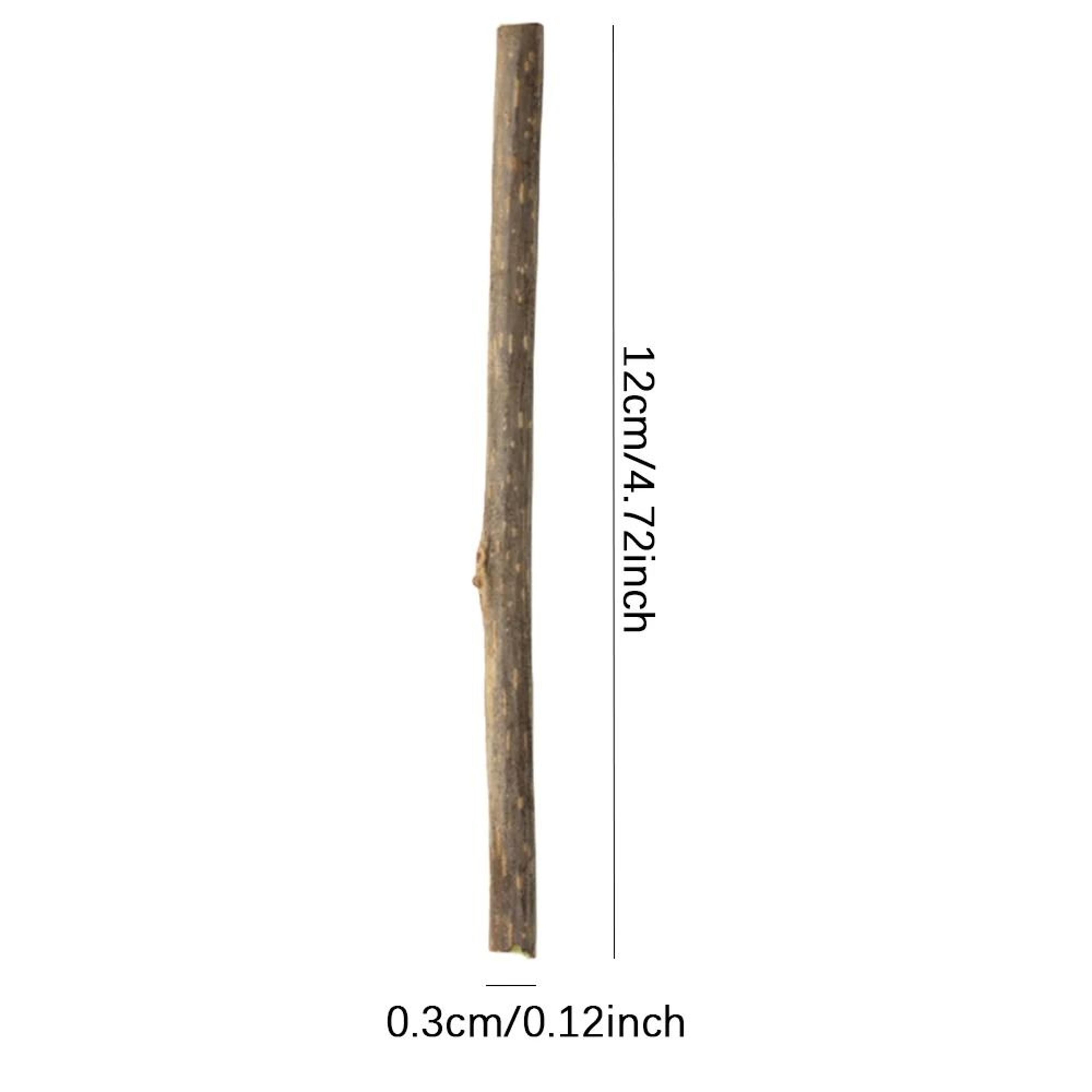 Natural Matatabi Cat Chew Sticks Dental Cleaning Toy For Kittens  Adult Cats 2