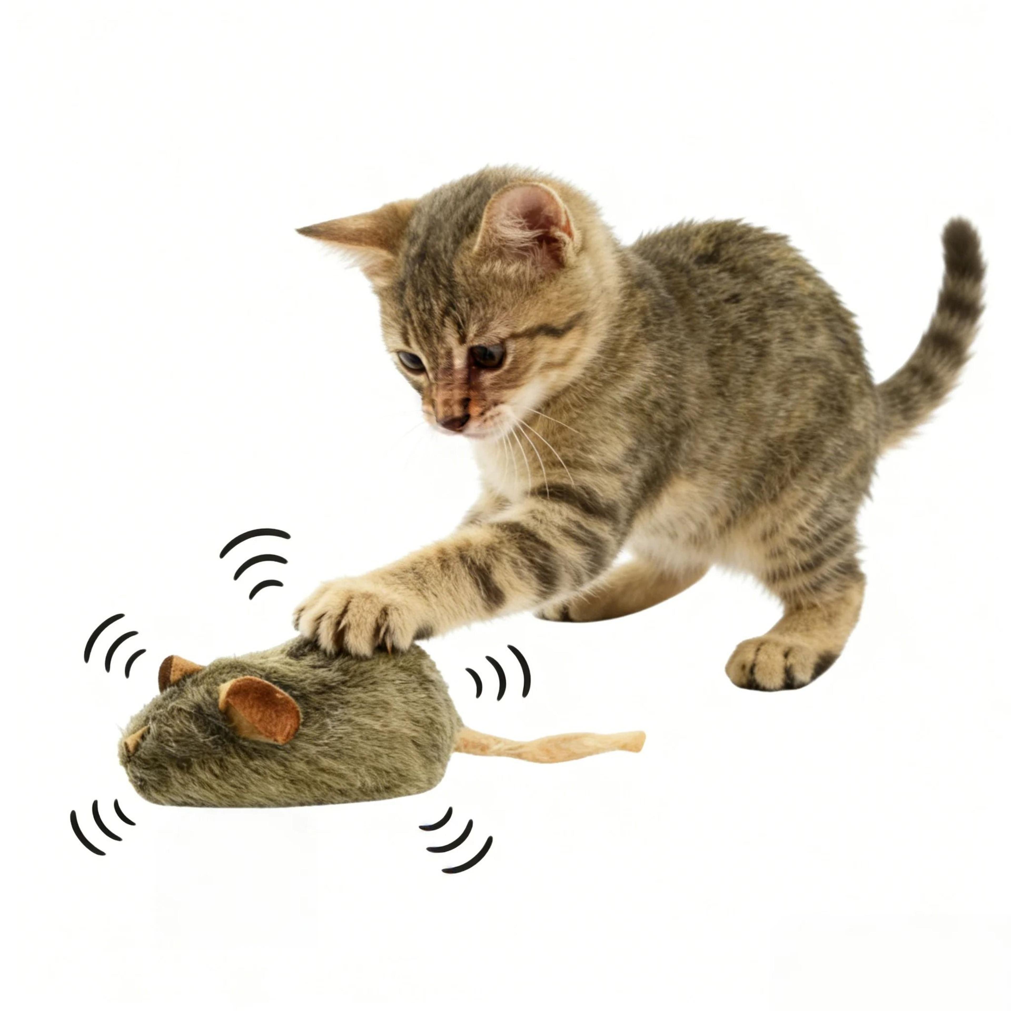 Interactive Plush Mouse Cat Toy Set With Squeaky Sound  BiteResistant Design 1