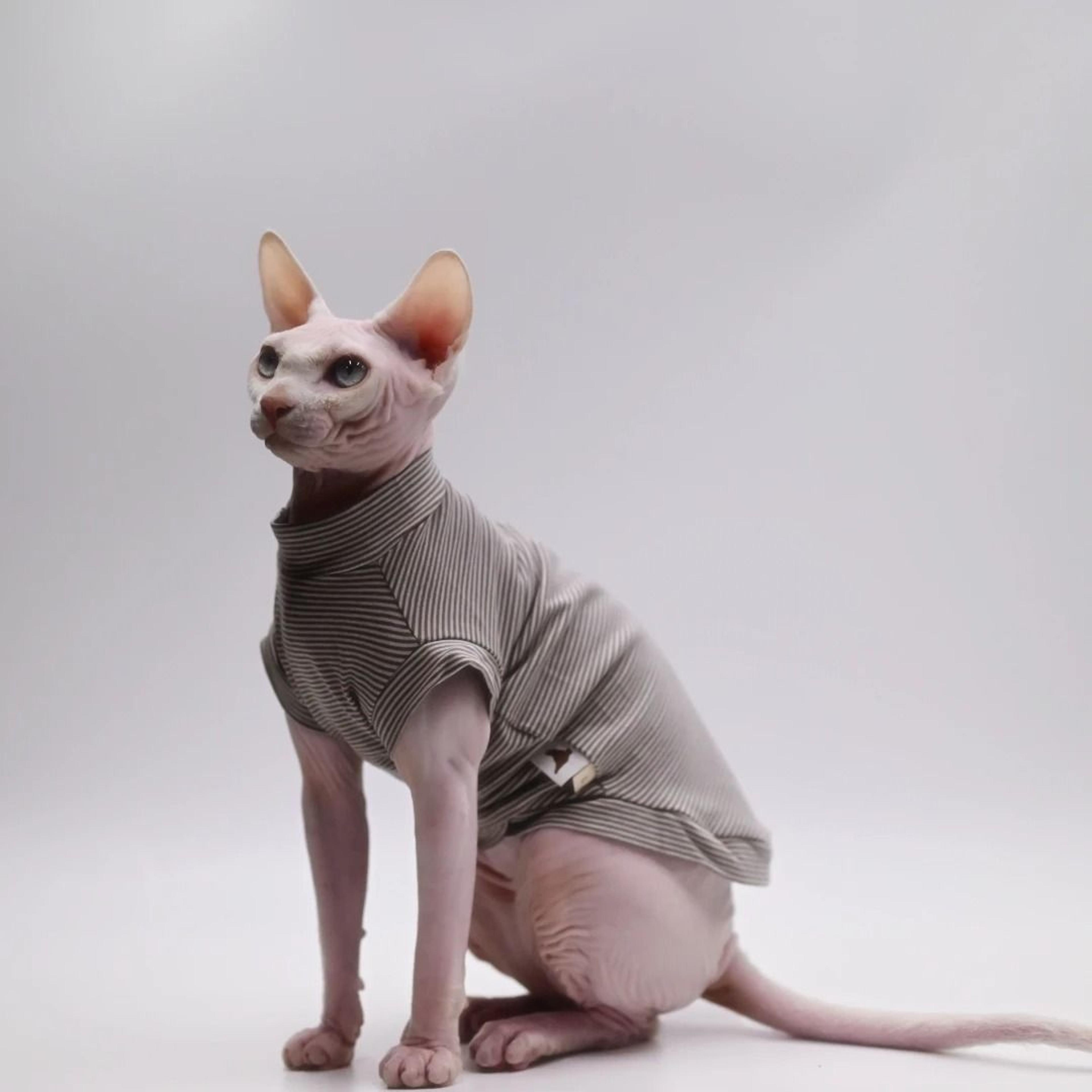 cooling cotton summer vest for sphynx & hairless cats