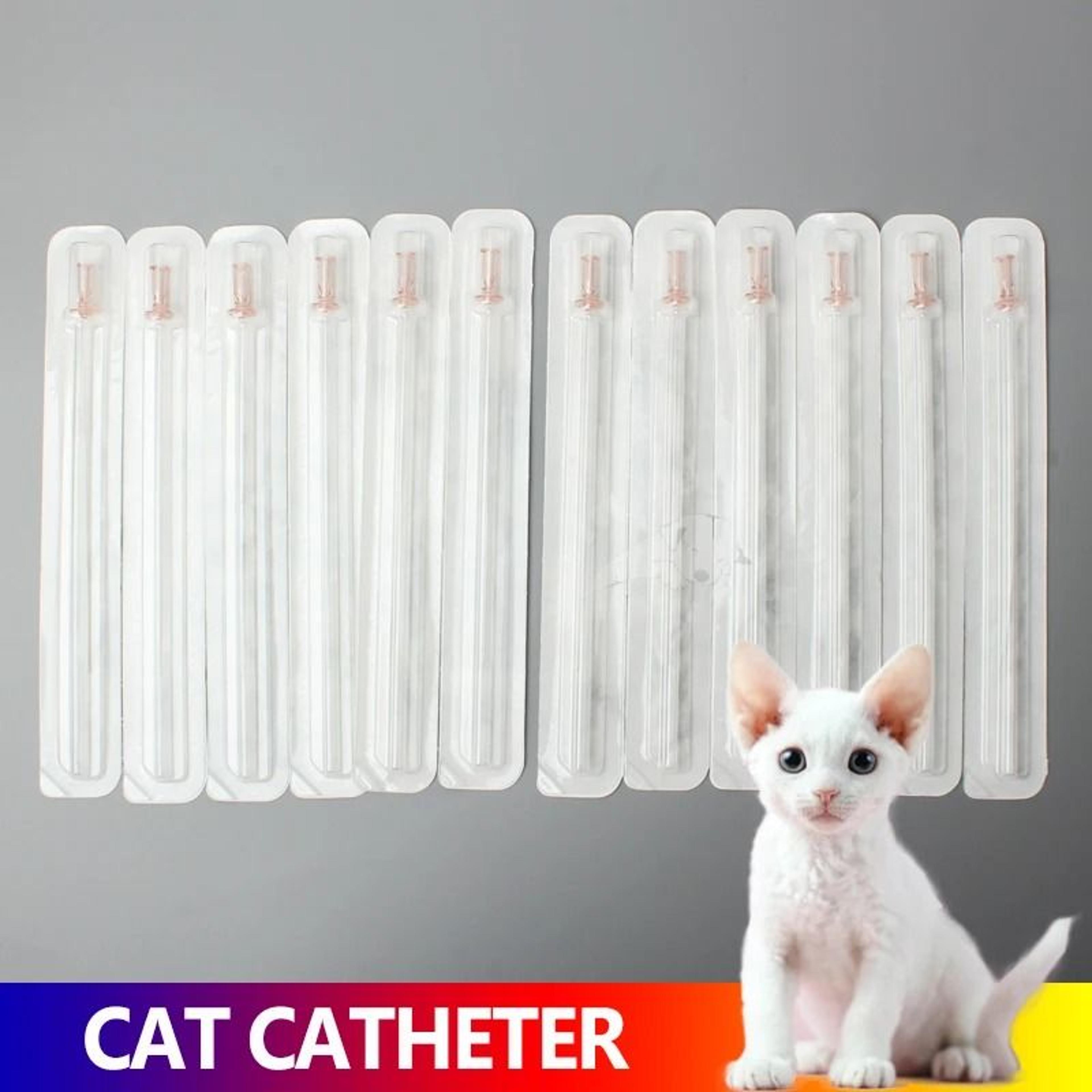 sterile feline urinary catheter veterinary instrument for cat bladder & urethral procedures