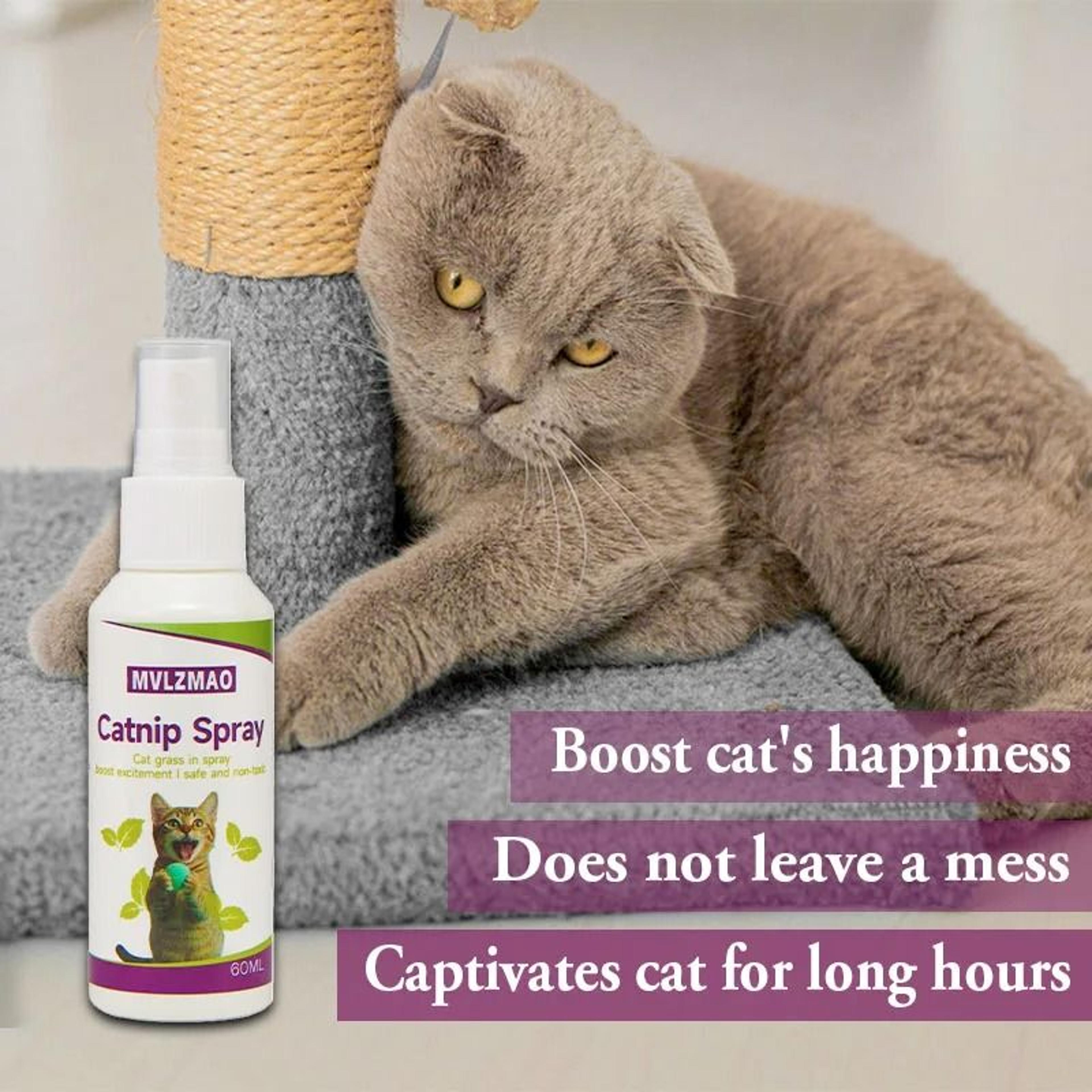 PurrGuide Catnip Training Spray For Cats  Kittens 4