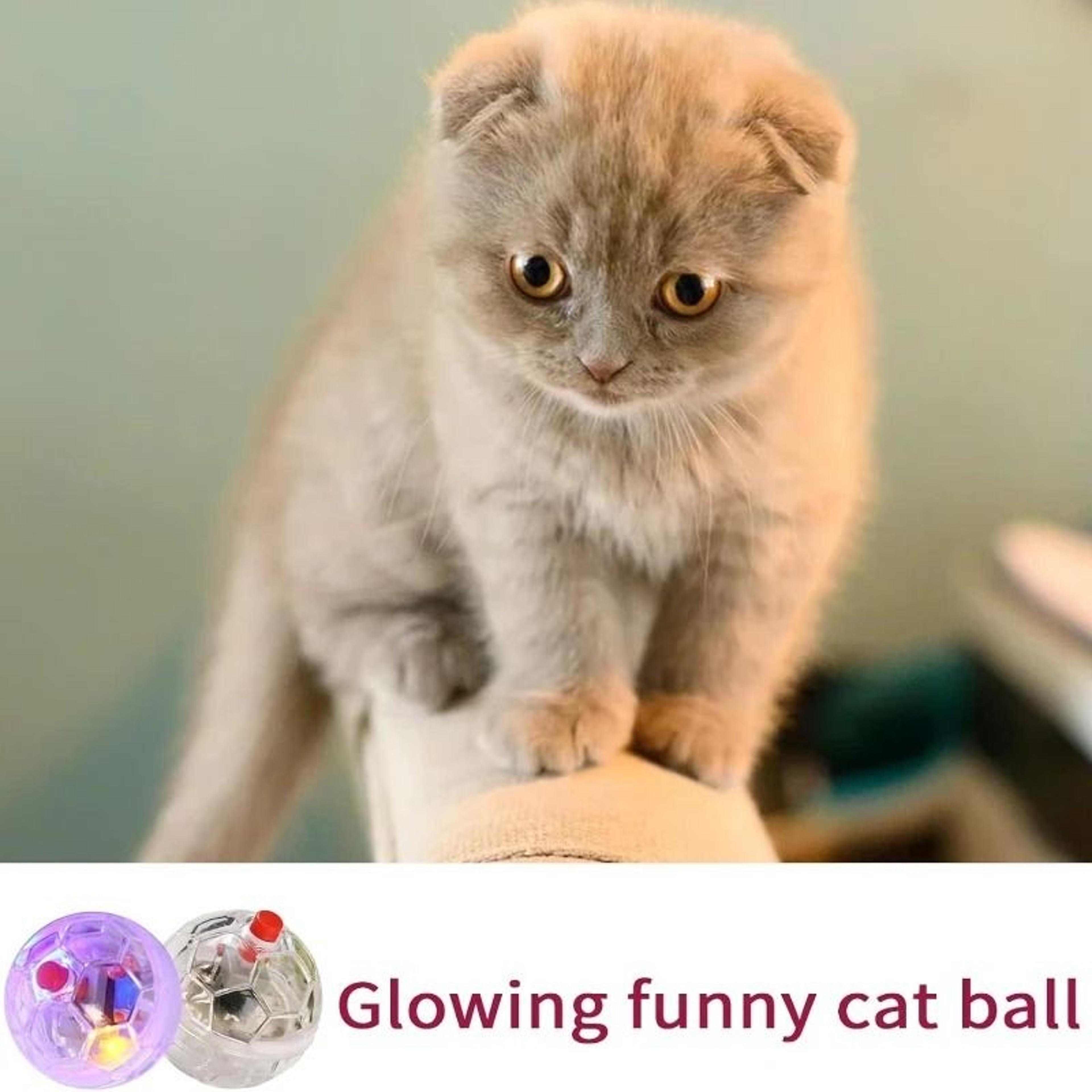 Interactive LED Glowing Ball Toy For Cats  Kittens 2