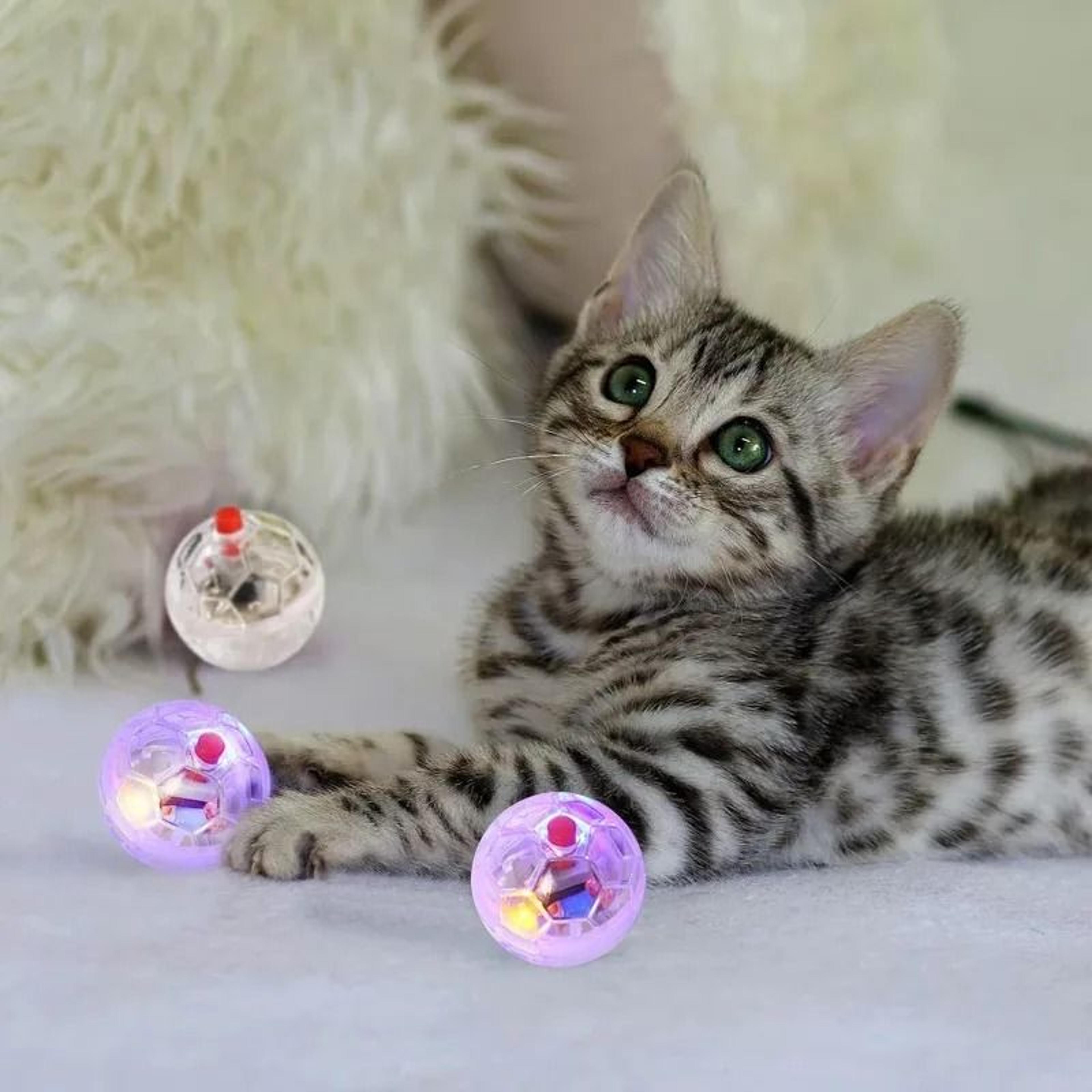 Interactive LED Glowing Ball Toy For Cats  Kittens 3