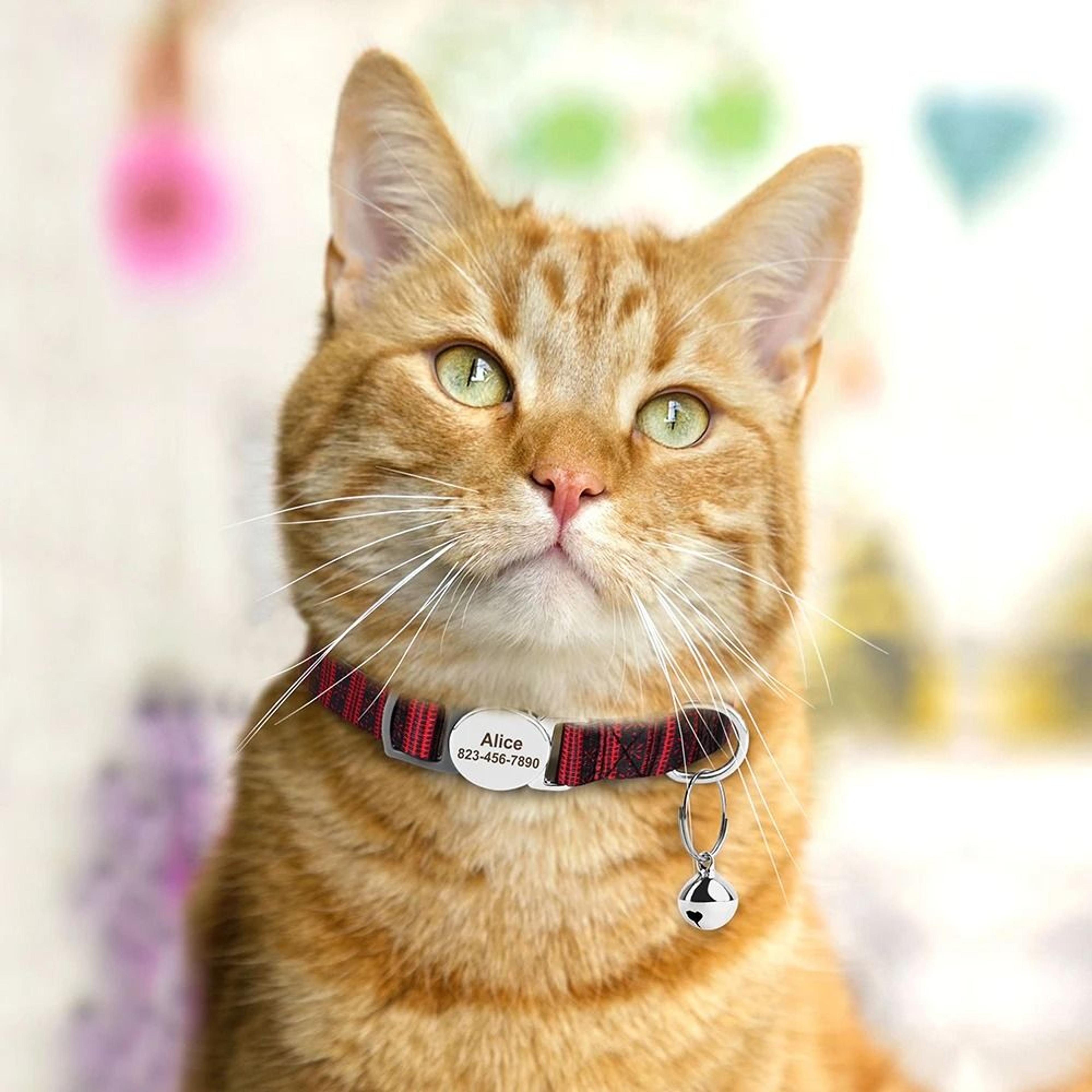 Personalized Adjustable Cat Collar With Engraved ID Nameplate  Safety Bell 4