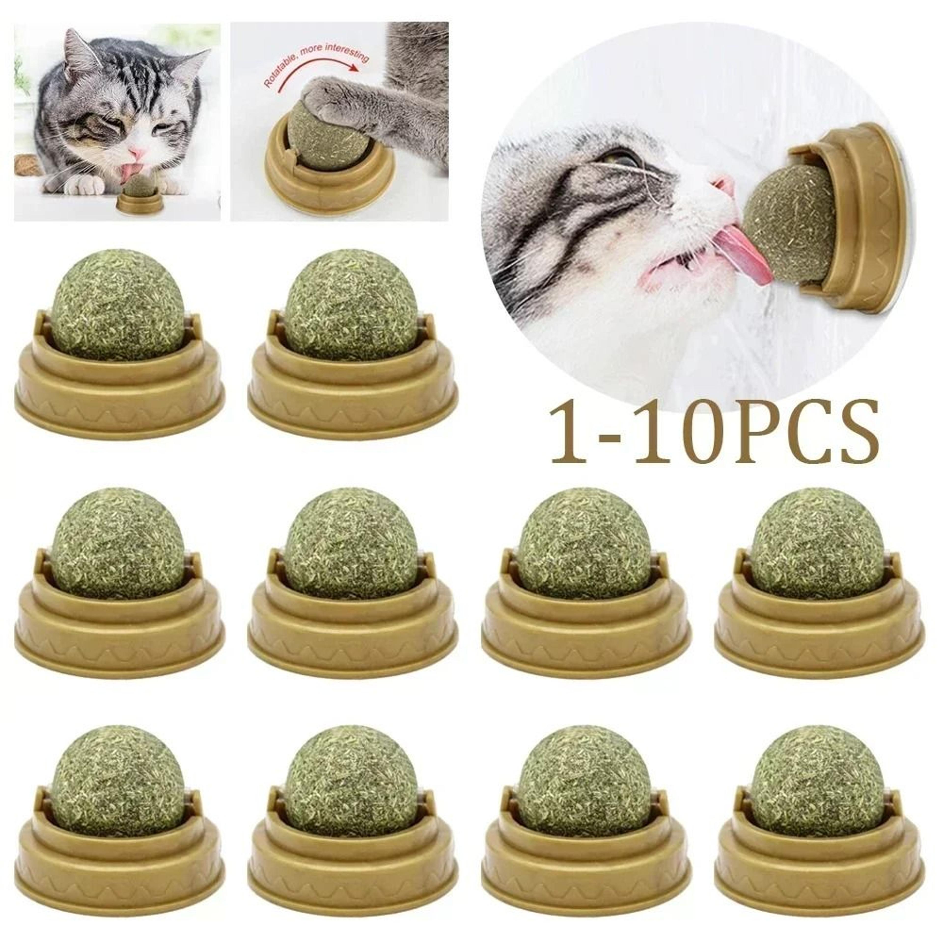 natural edible catnip ball toys for teeth cleaning, play & enrichment