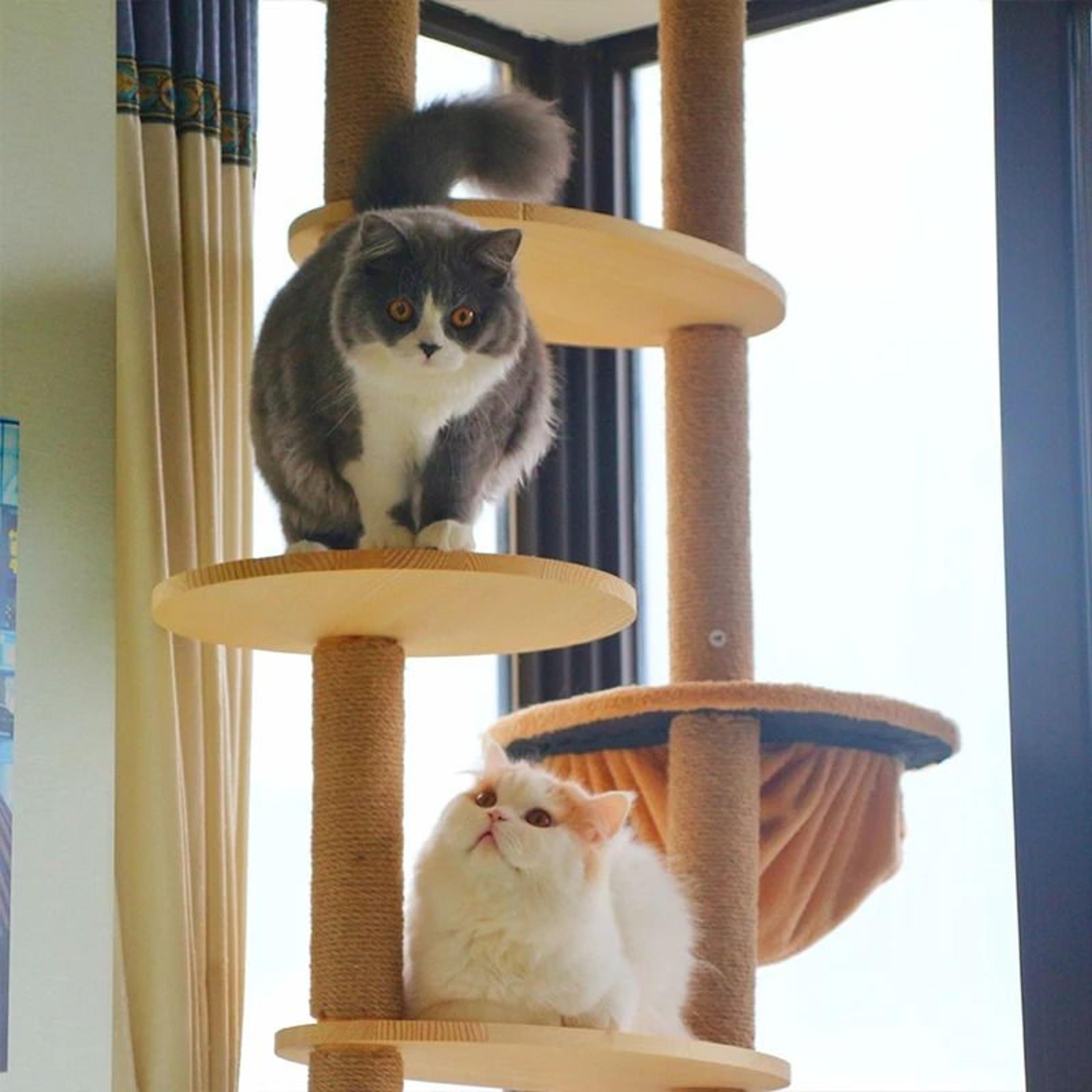 Heavy Duty Sisal Cat Tree Replacement Post For DIY Climbing Frames 4