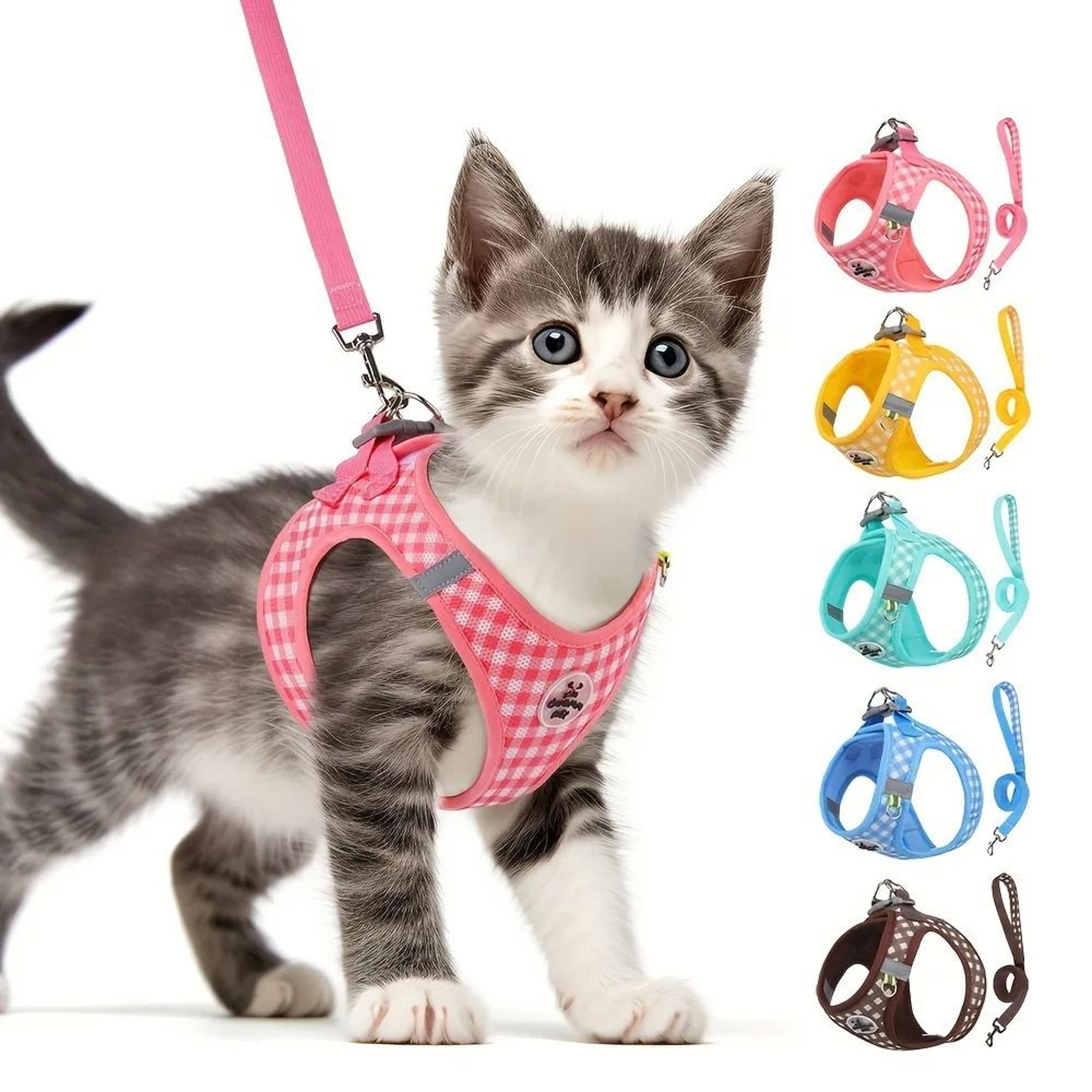 plaidpaws reflective checkered pet harness & leash set for cats and small dogs
