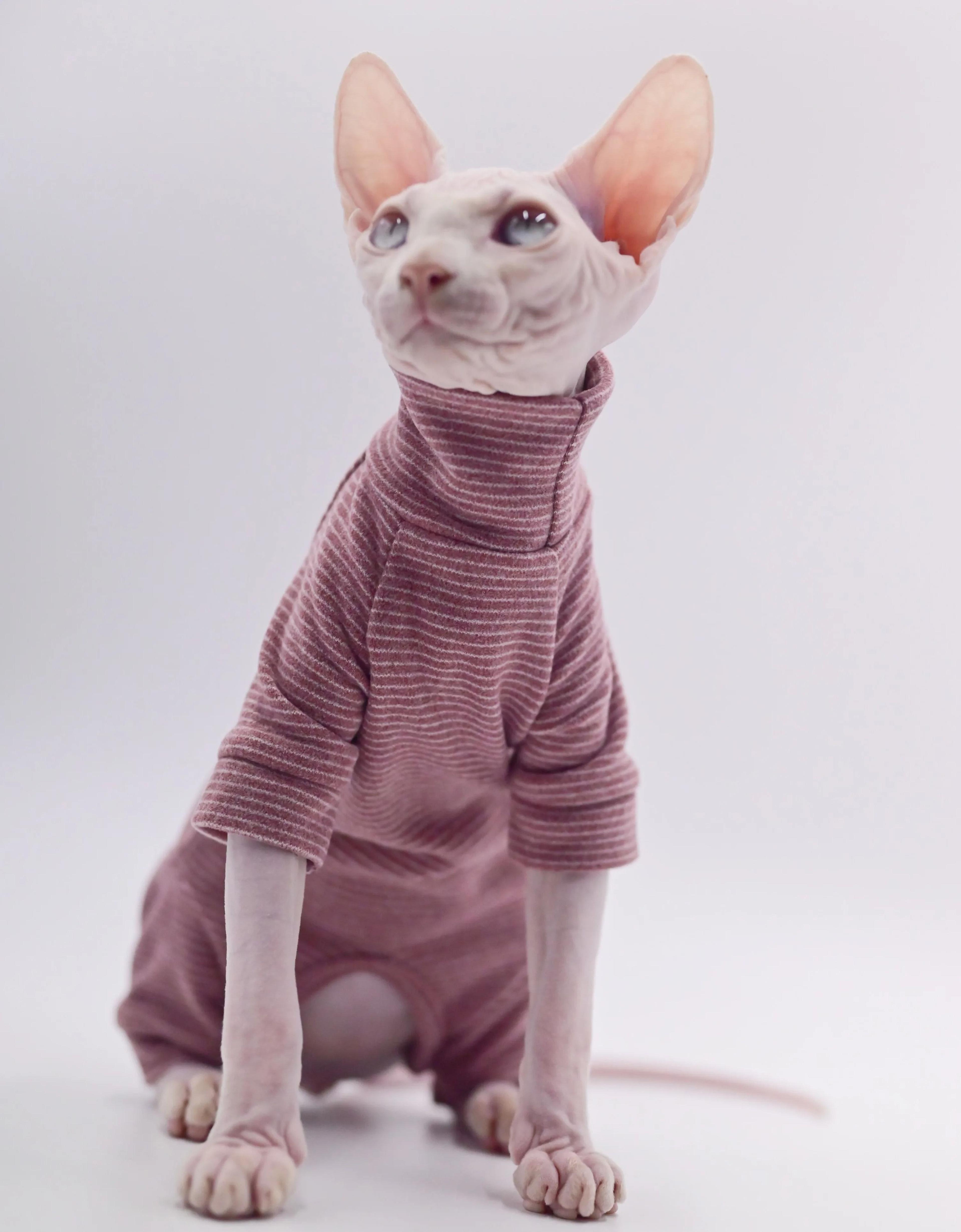 CozyPaws FourLegged Hoodie For Sphynx Devon Rex  Cornish Rex Cats 5