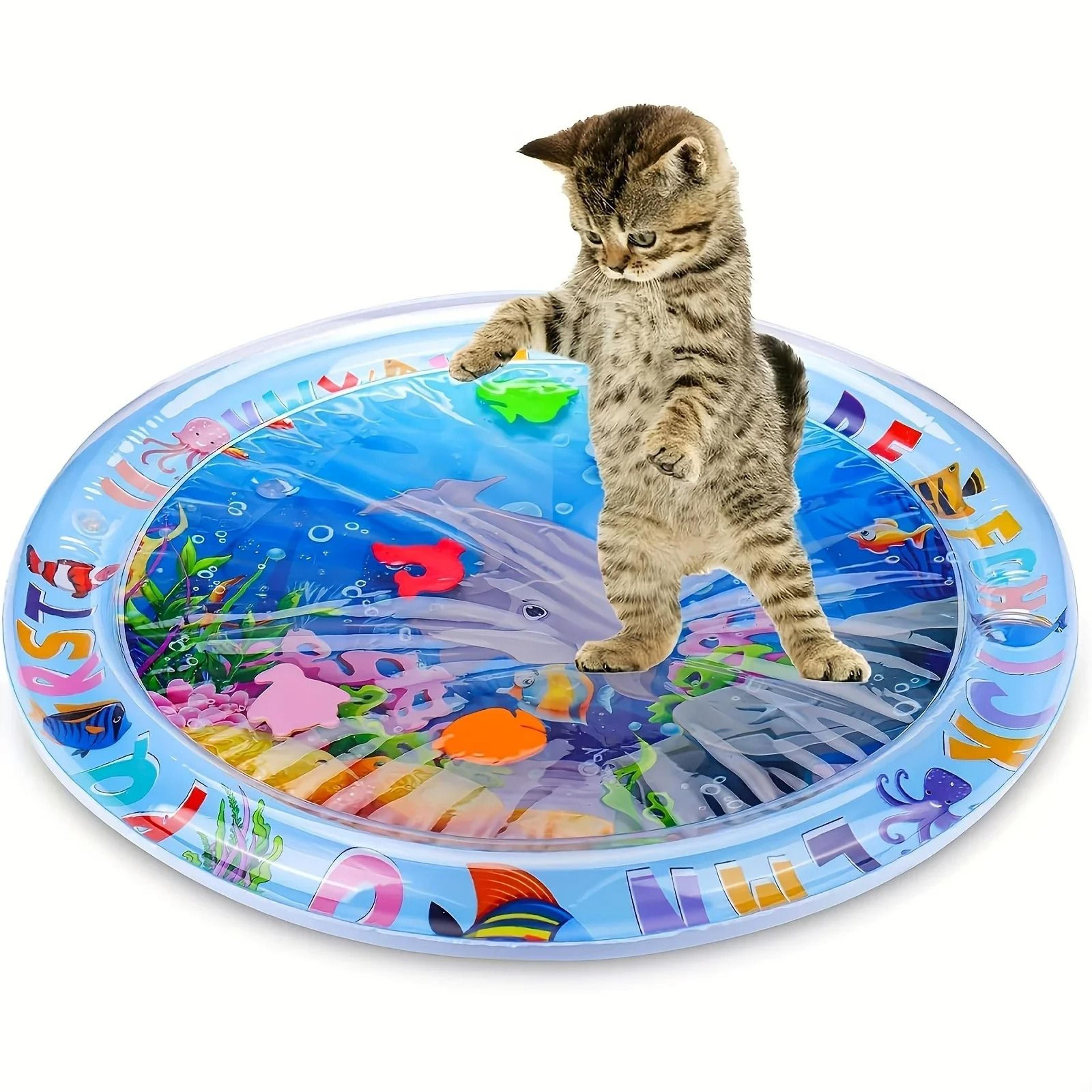 Interactive Floating Fish Water Sensory Play Mat For Cats 2