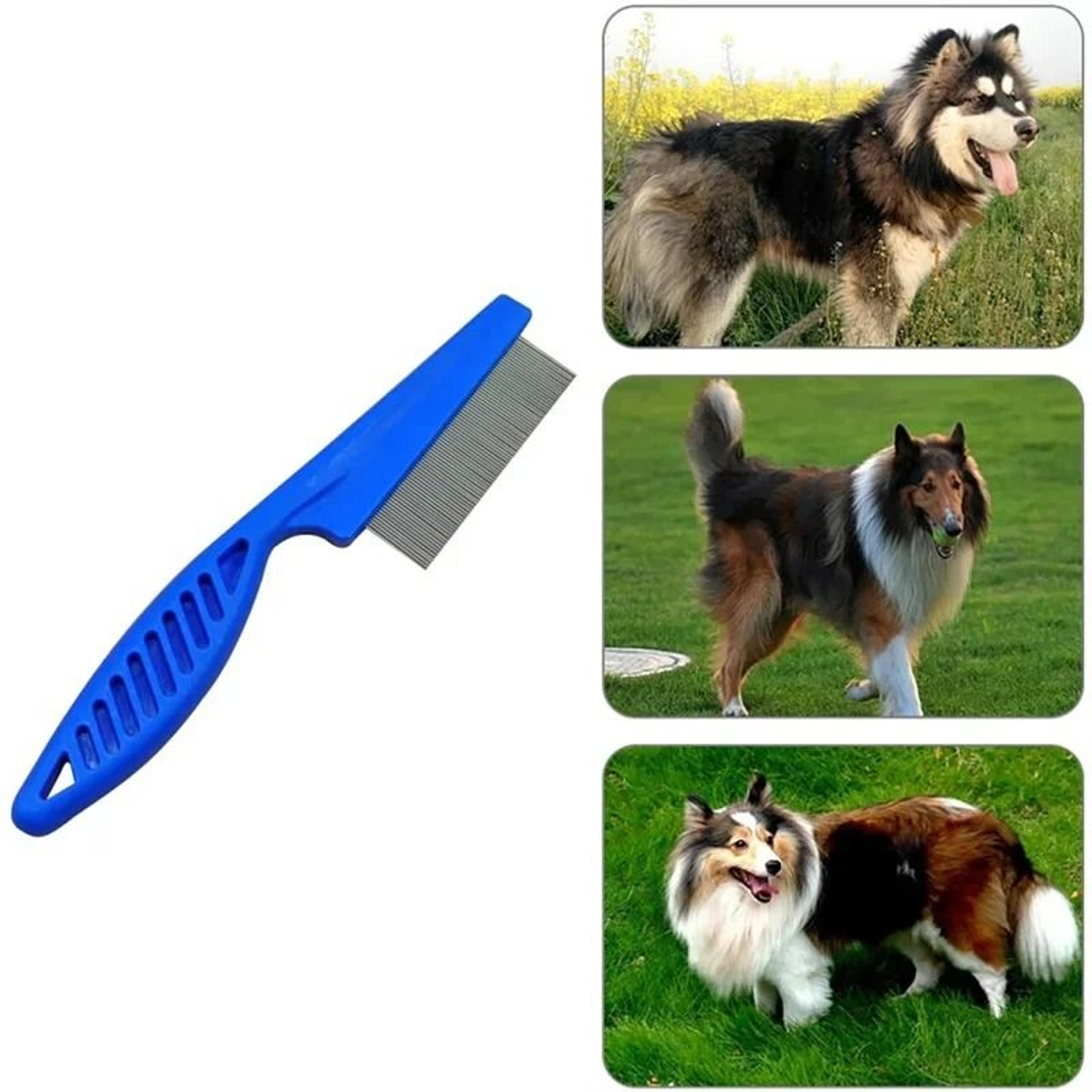 Stainless Steel Pet Flea  Shedding Comb For Cats And Dogs 3