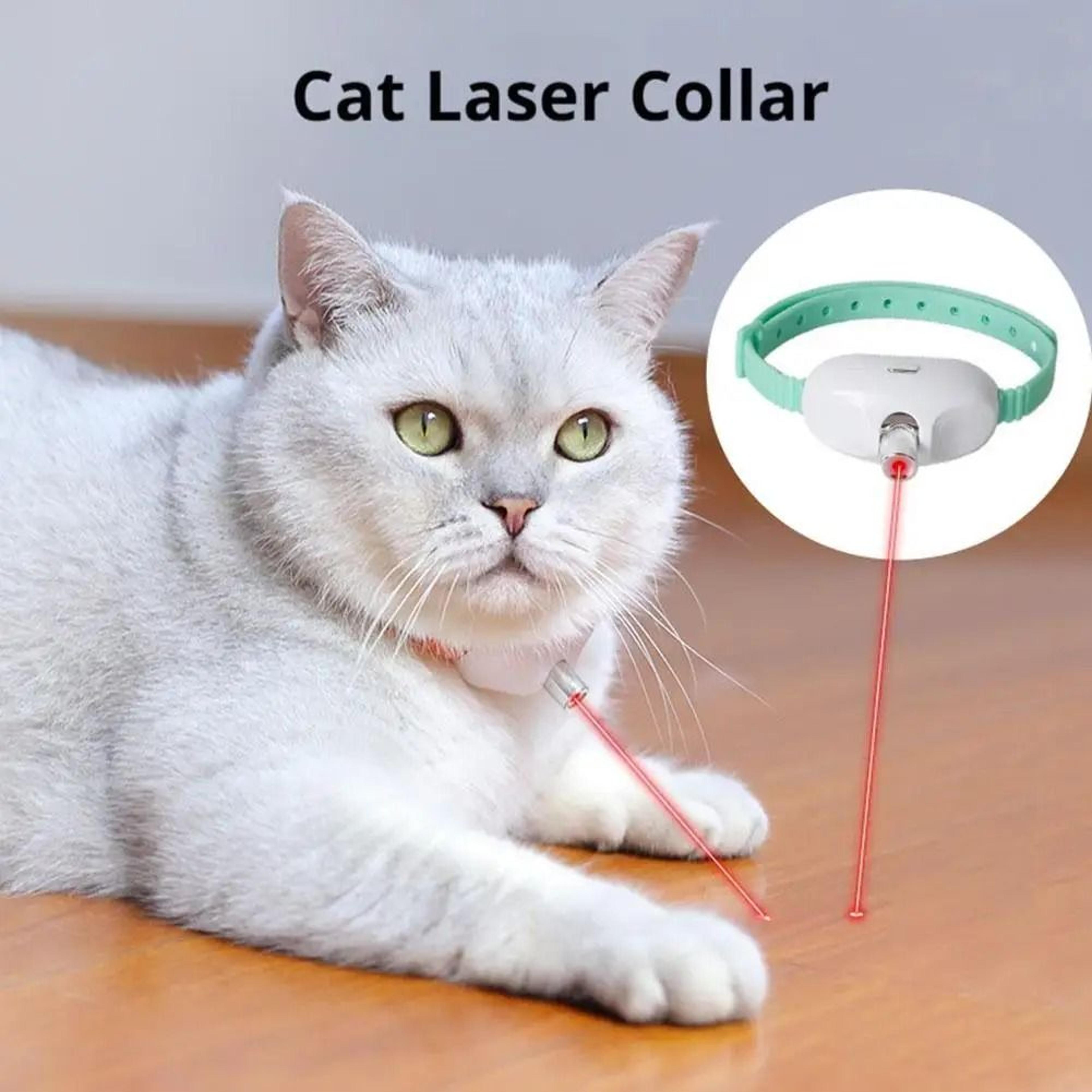 LaserPaws Rechargeable Smart Laser Cat Collar Interactive Toy For Cats  Kittens 3