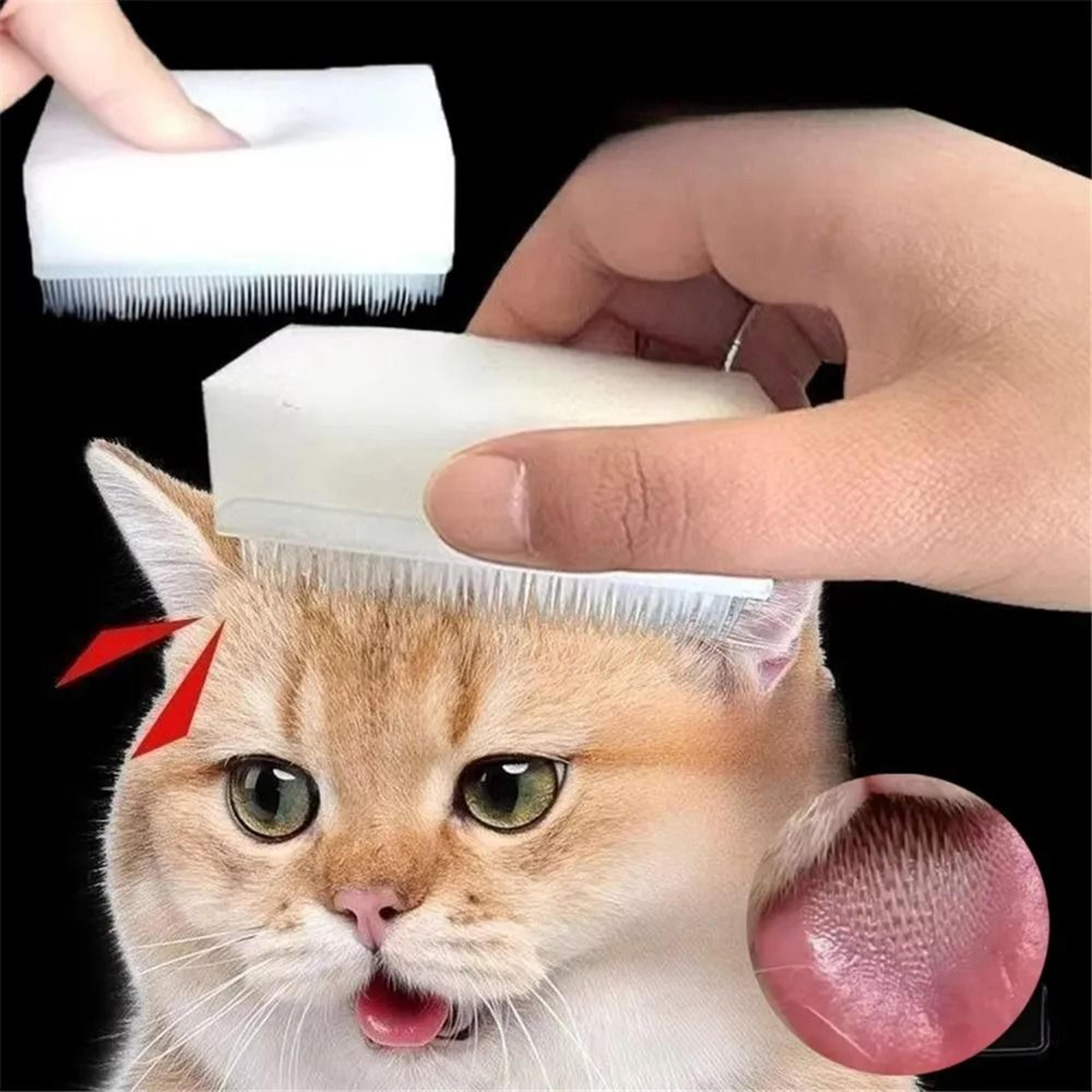 purrgroom double-sided cat massage & grooming brush for cats and dogs