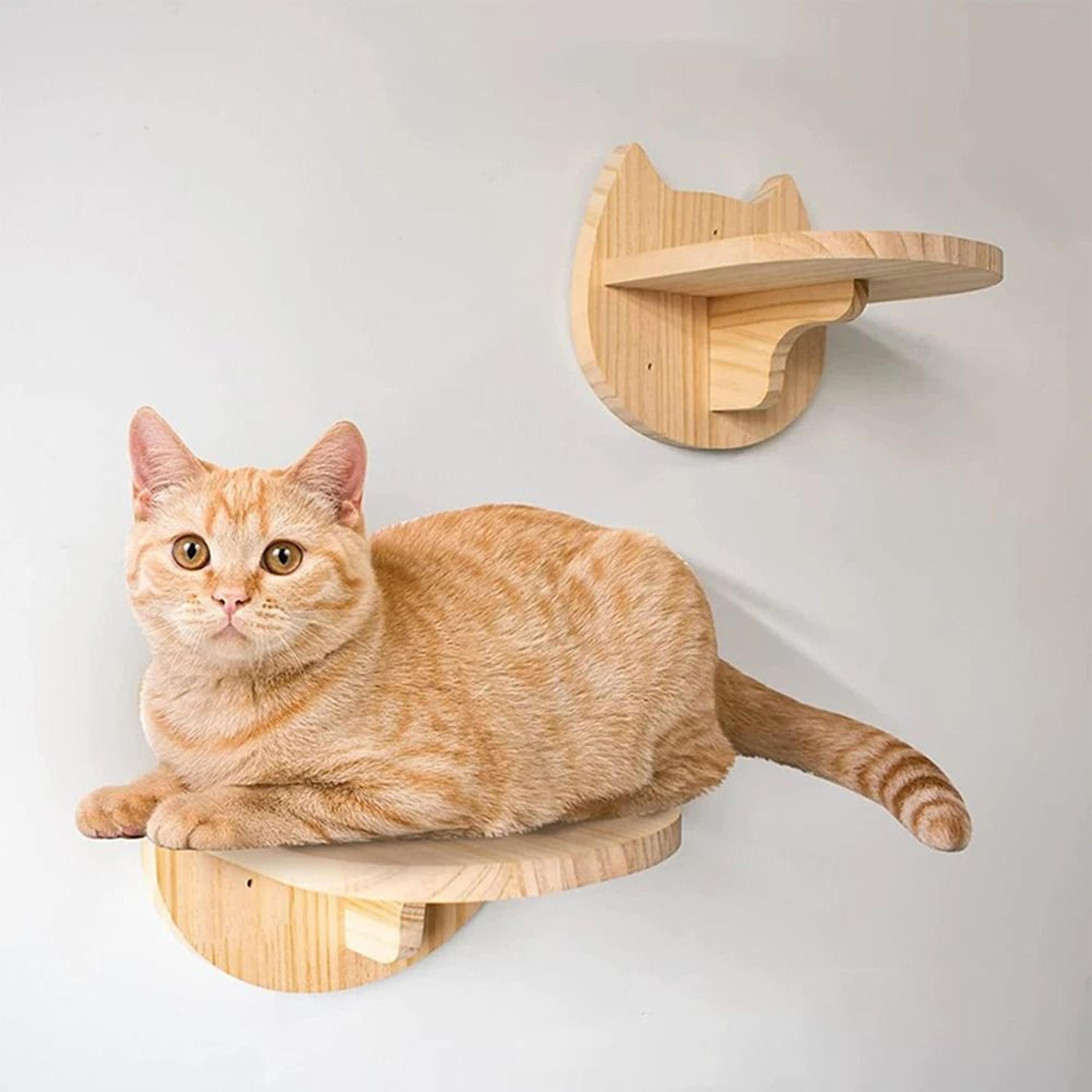 Wall Mounted Cat Climbing Shelf Set With Scratching Post Cat Bed Hideaway House And Activity Steps 5