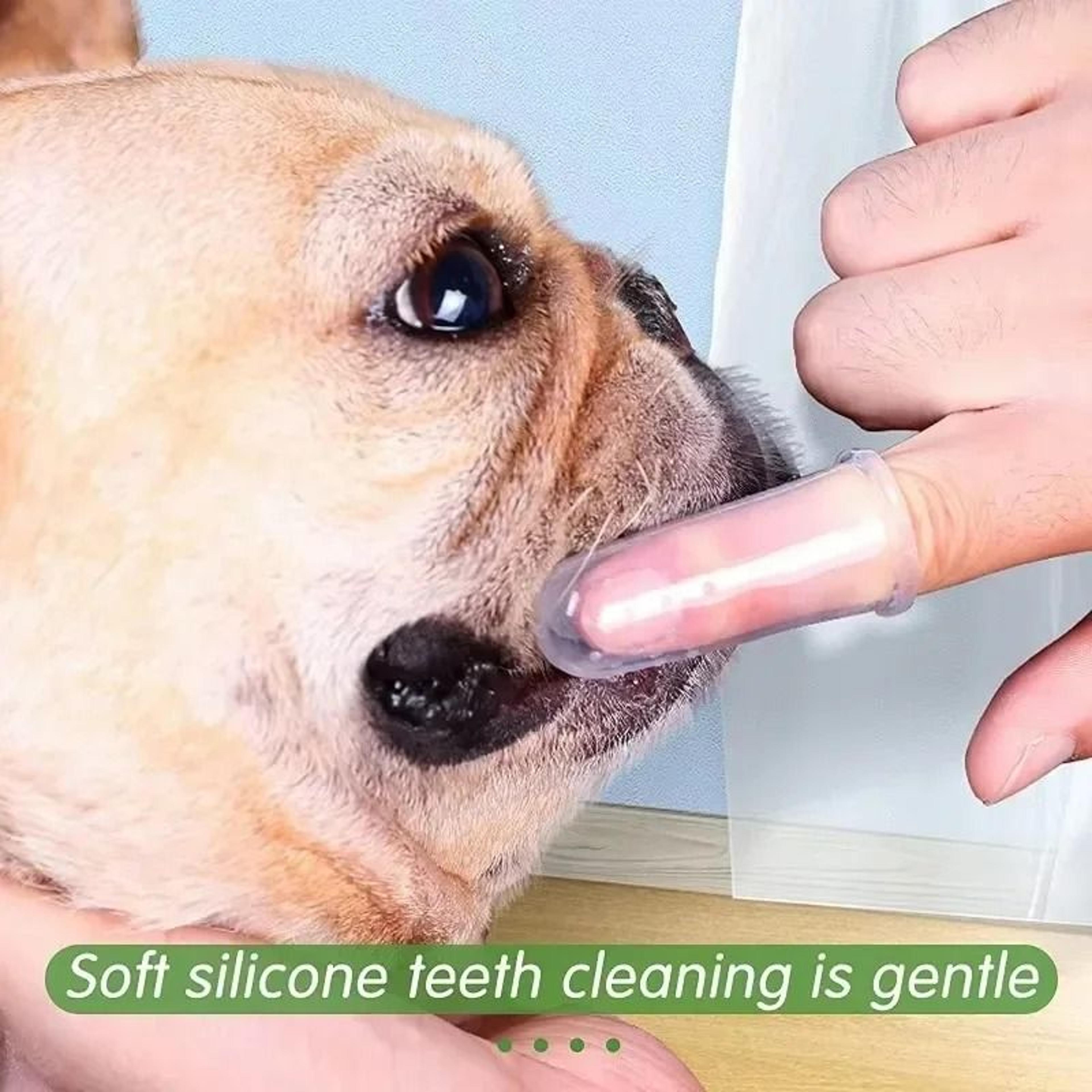 Super Soft Pet Finger Toothbrush 2