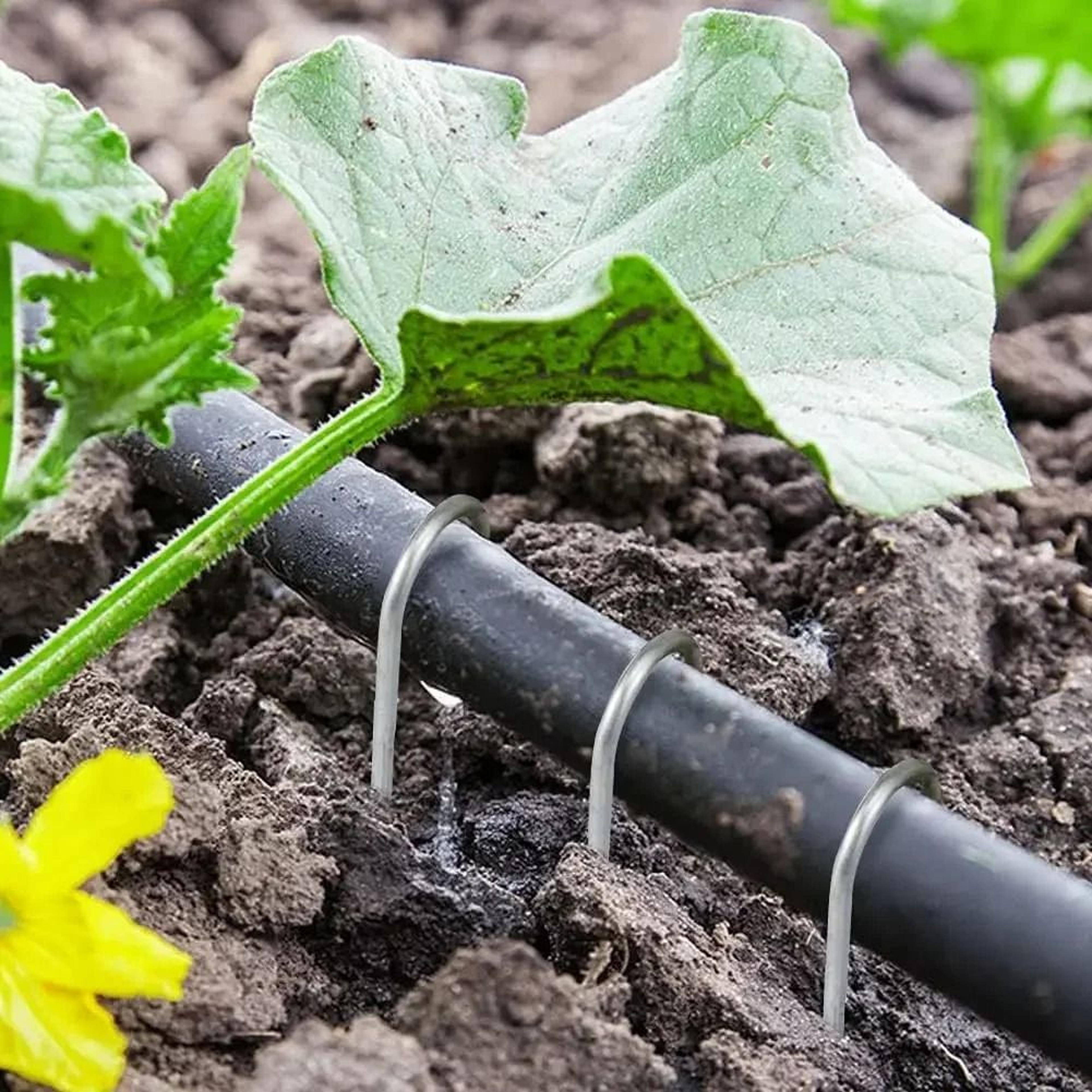 Heavy Duty Garden Ground Staples 2