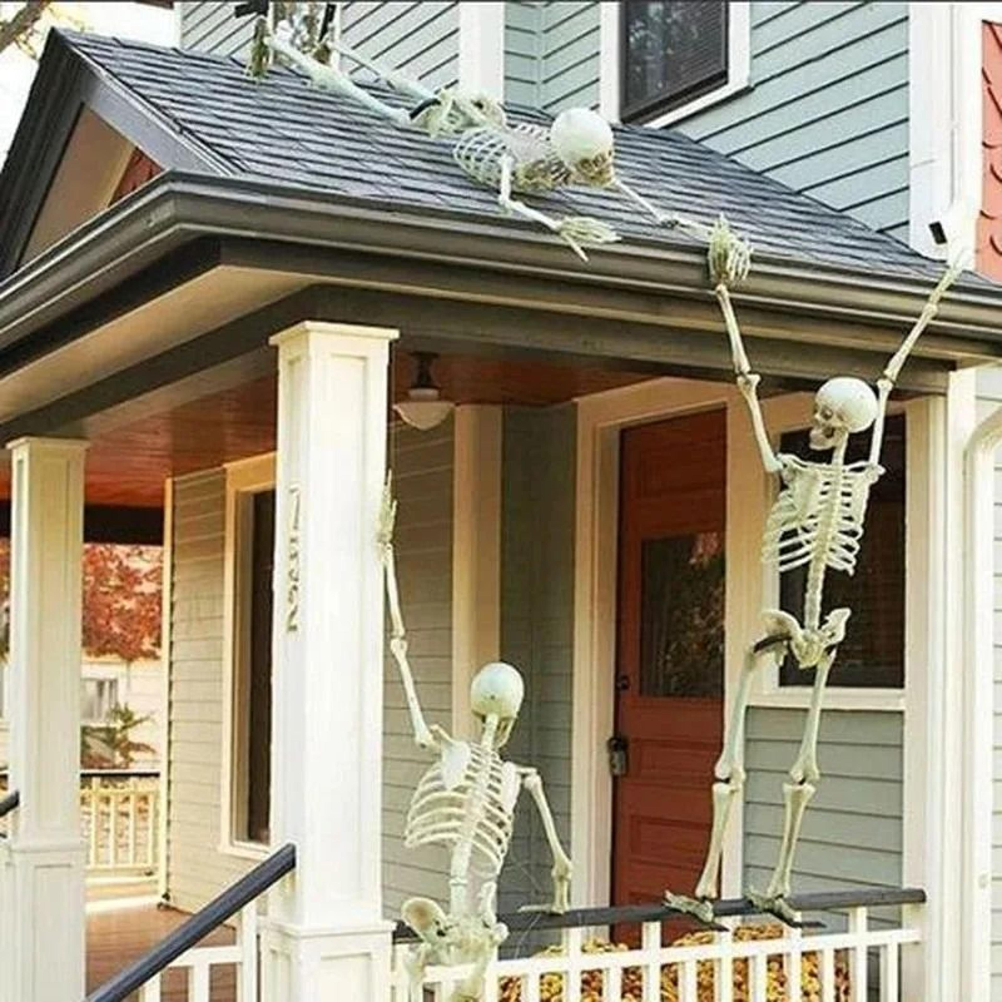 Halloween Skeleton Decorative Prop 4