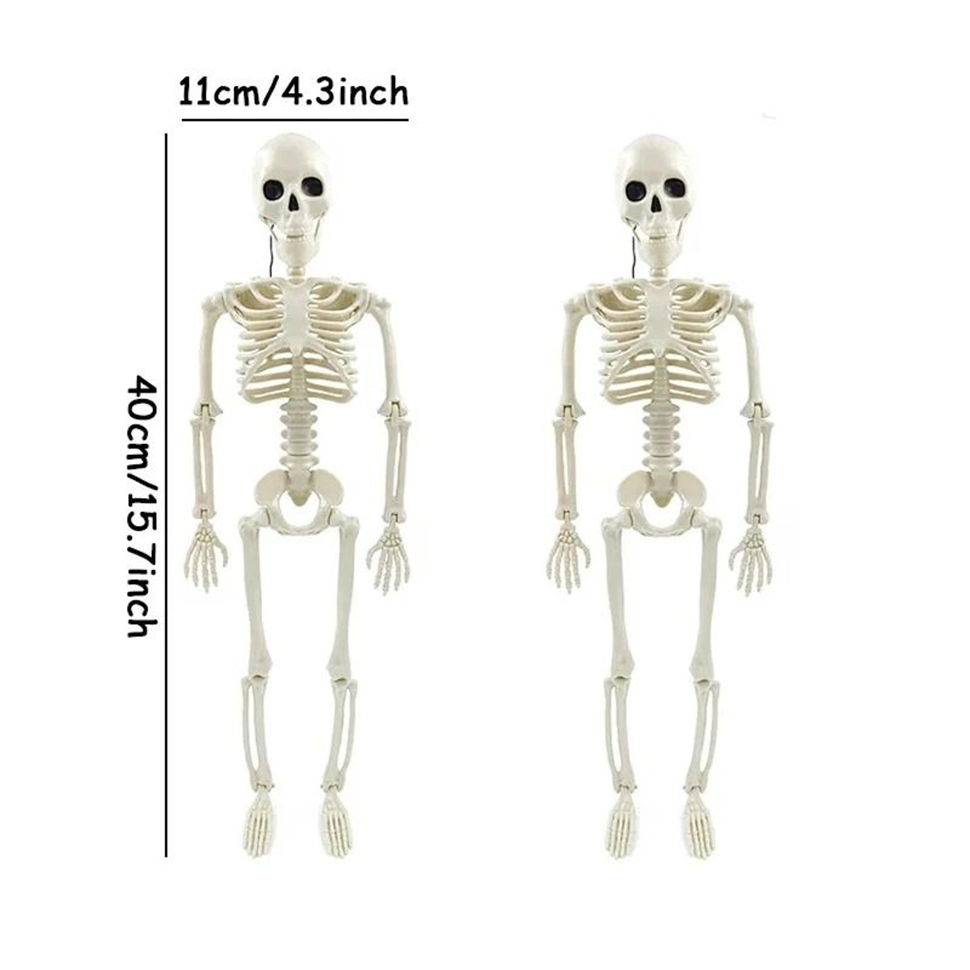 Posable Halloween Skeleton Decoration 7