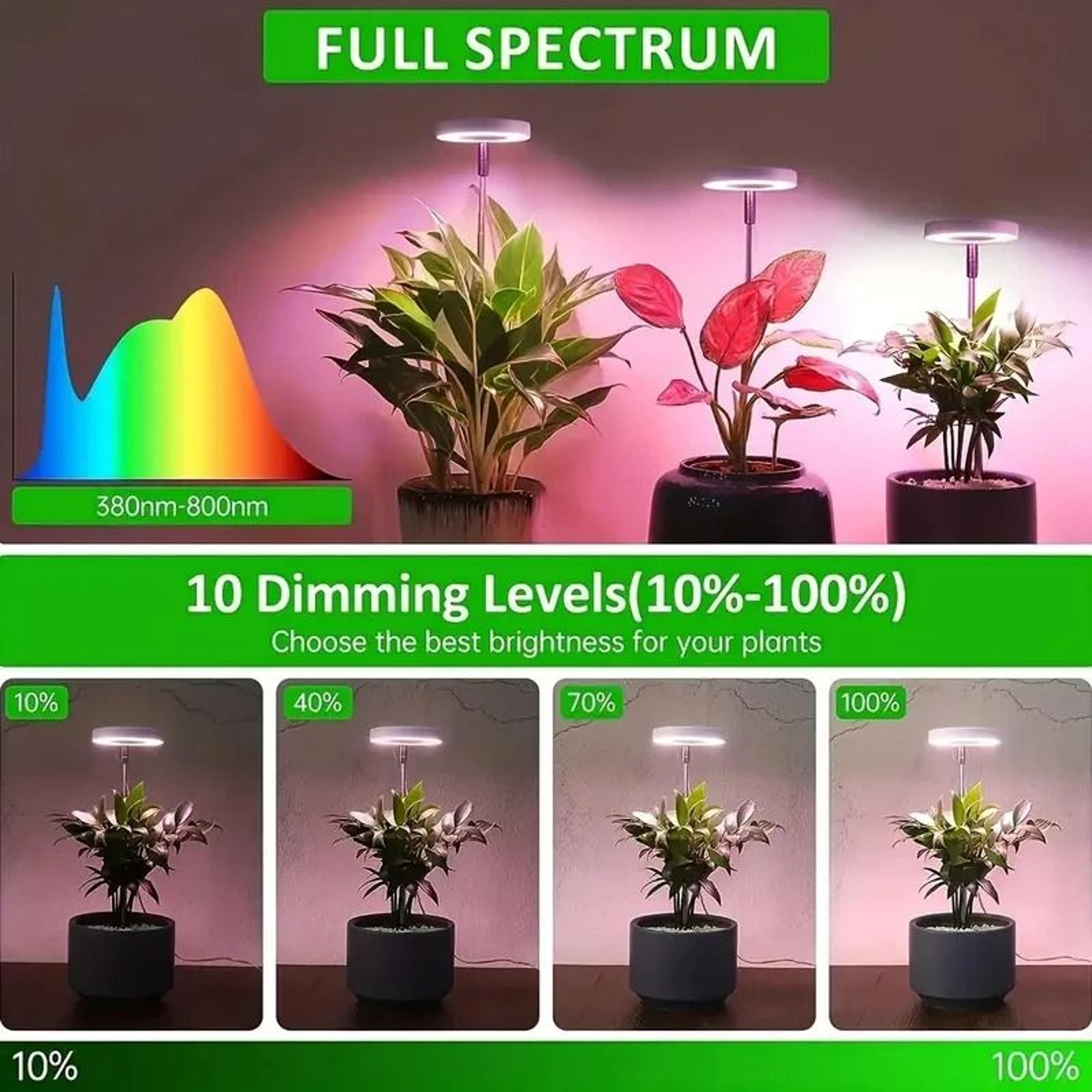 Full Spectrum LED Grow Light With Timer For Indoor Plants 3