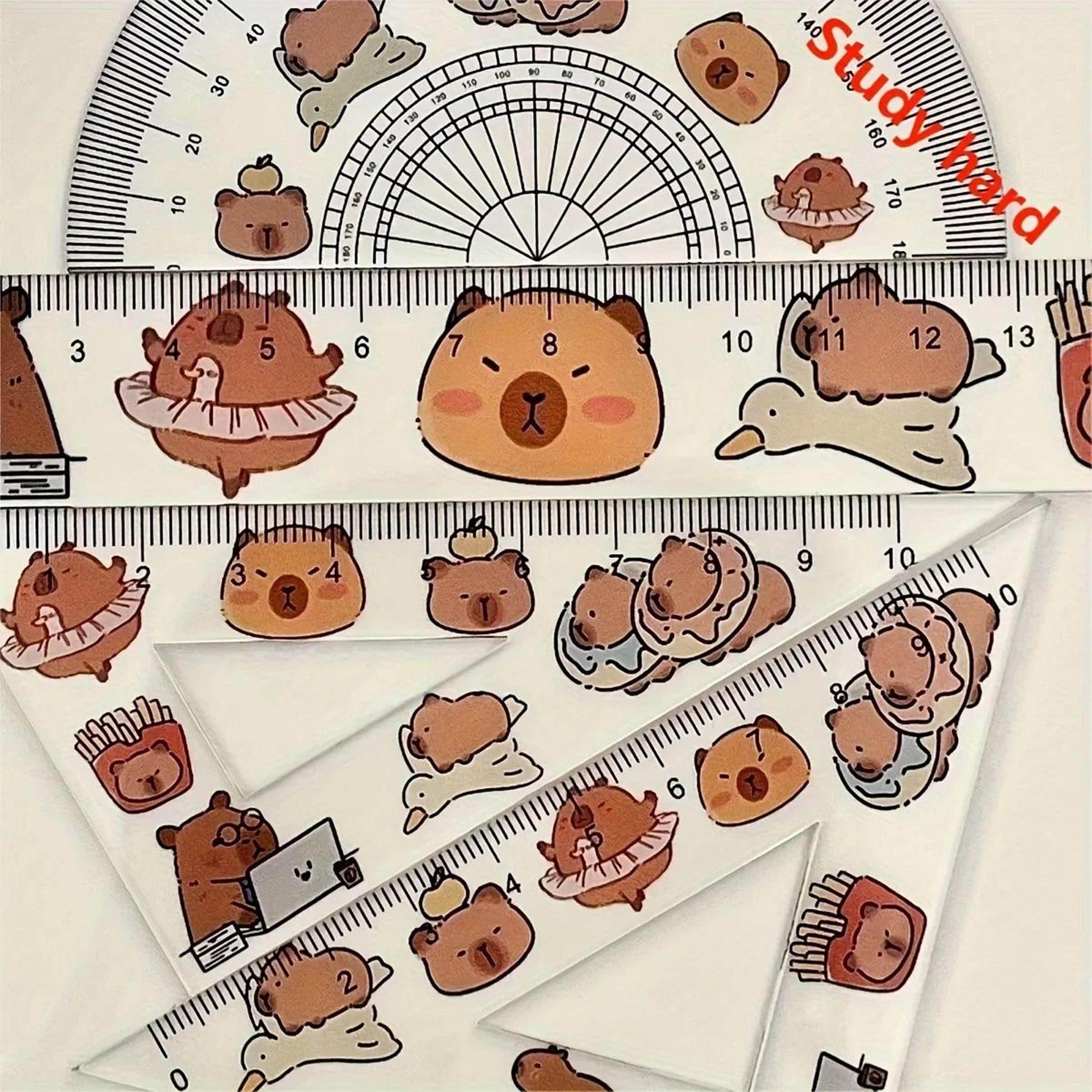 Capybara Transparent Geometry Ruler Set For Drawing And School 3