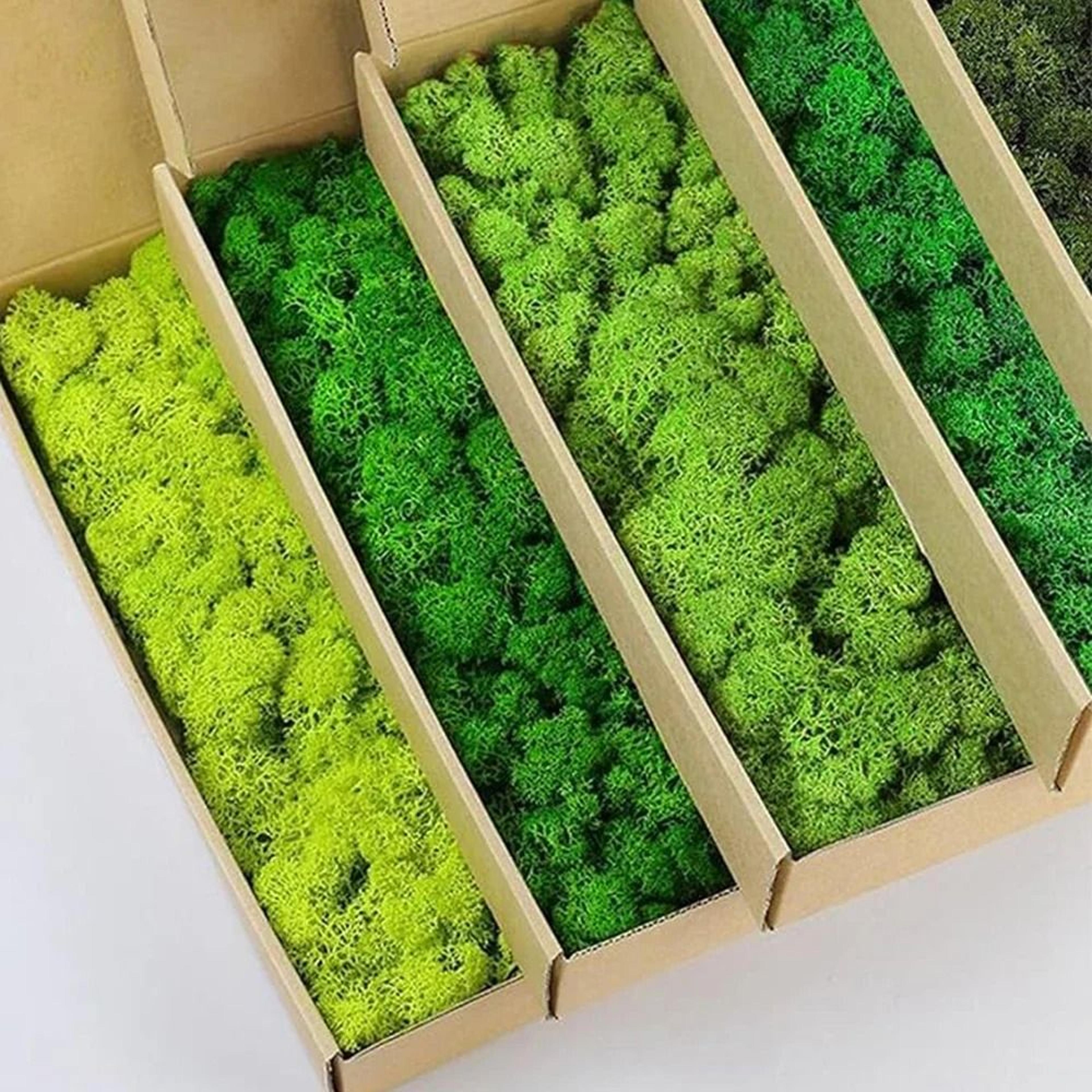 artificial moss grass for crafts miniature landscapes fairy gardens and home decor 20 to 200g