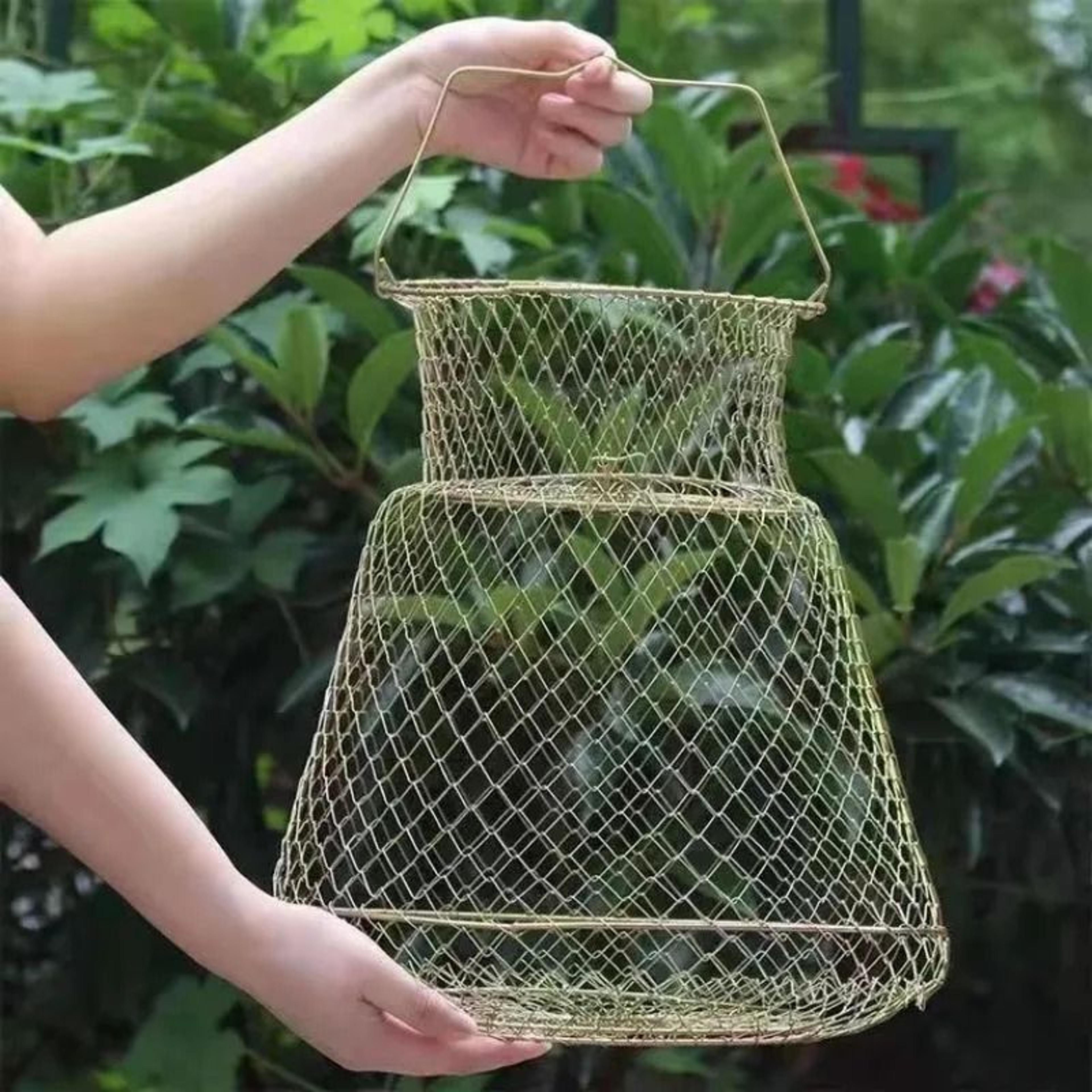 Portable Foldable Wire Fish Basket Live Fish Keeper Cage For Fishing  Shrimp 1