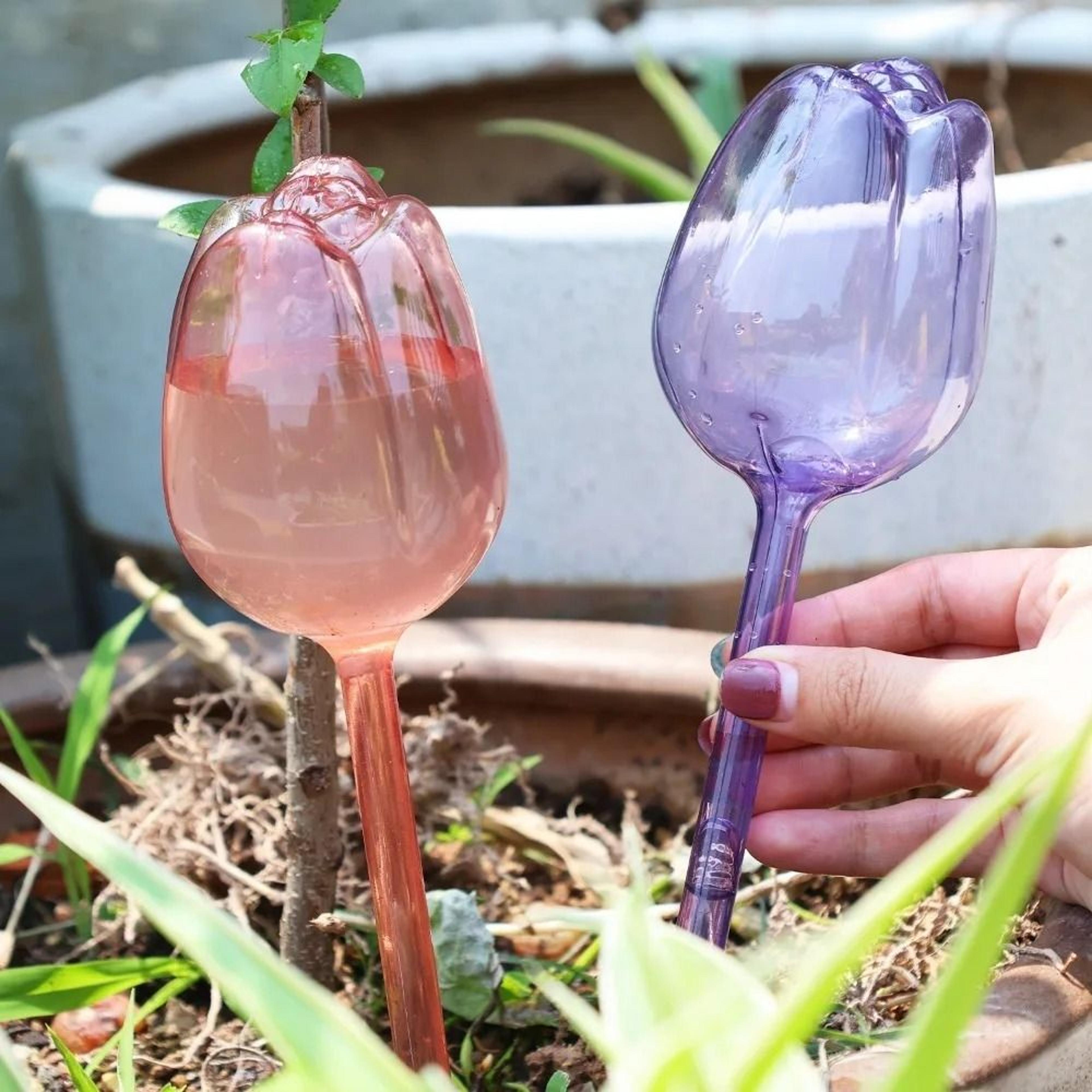 Self Watering Plant Globes Automatic Drip Irrigation Watering Bulbs For Indoor  Outdoor Plants 1