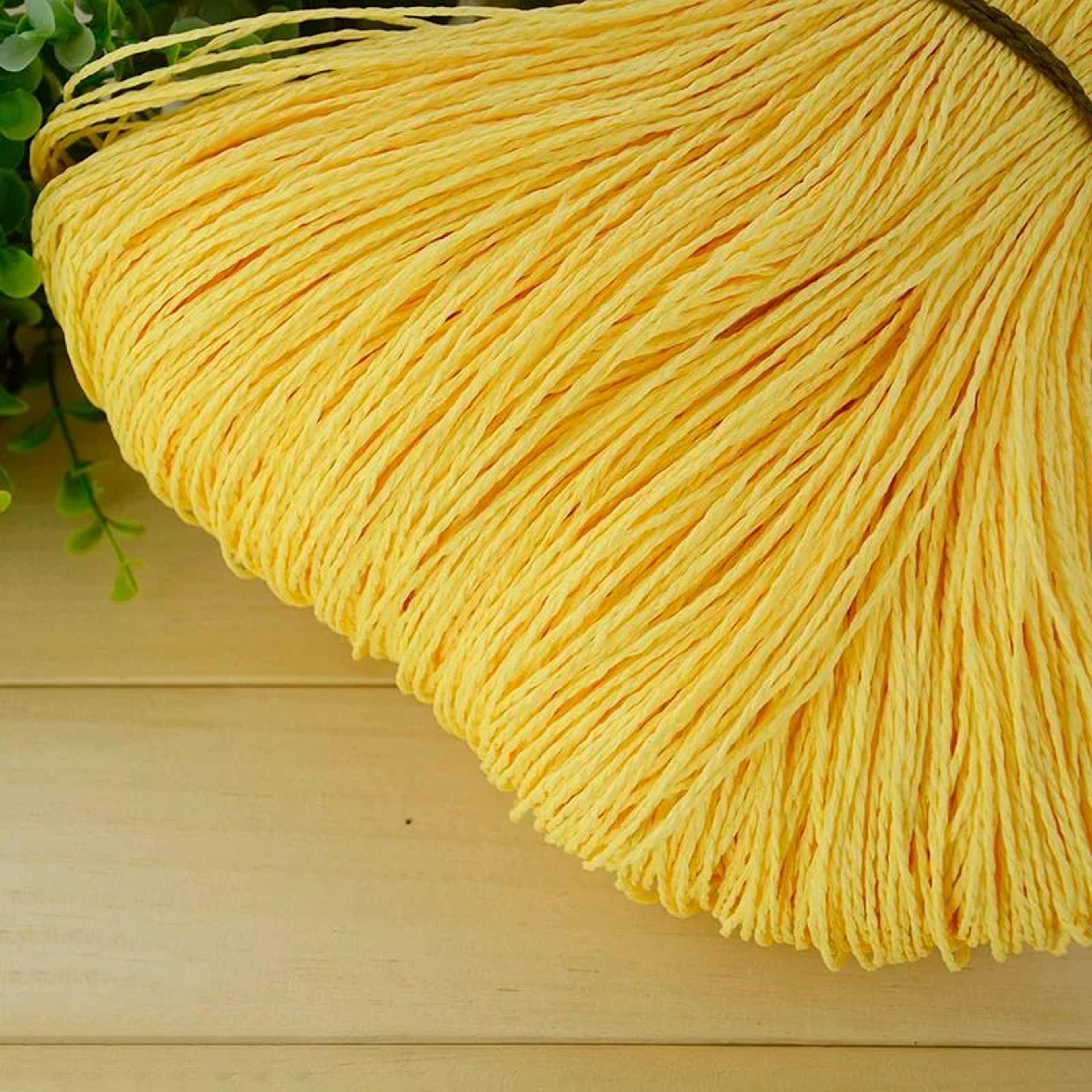 2187 Ft Colorful Raffia Straw Yarn For Crochet Summer Hats Bags And Basket Weaving 16