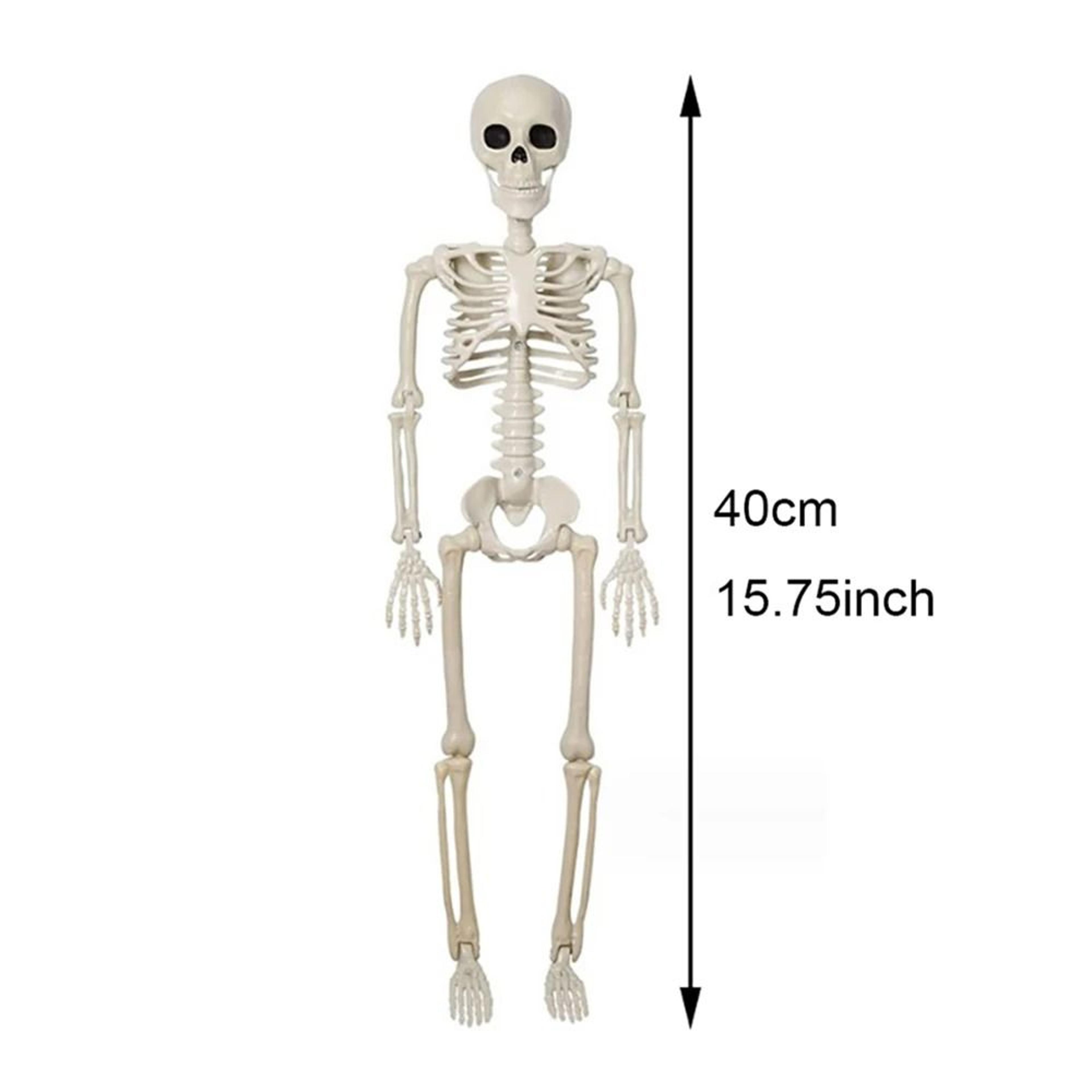 Posable Human Skeleton Halloween Horror Decoration 6