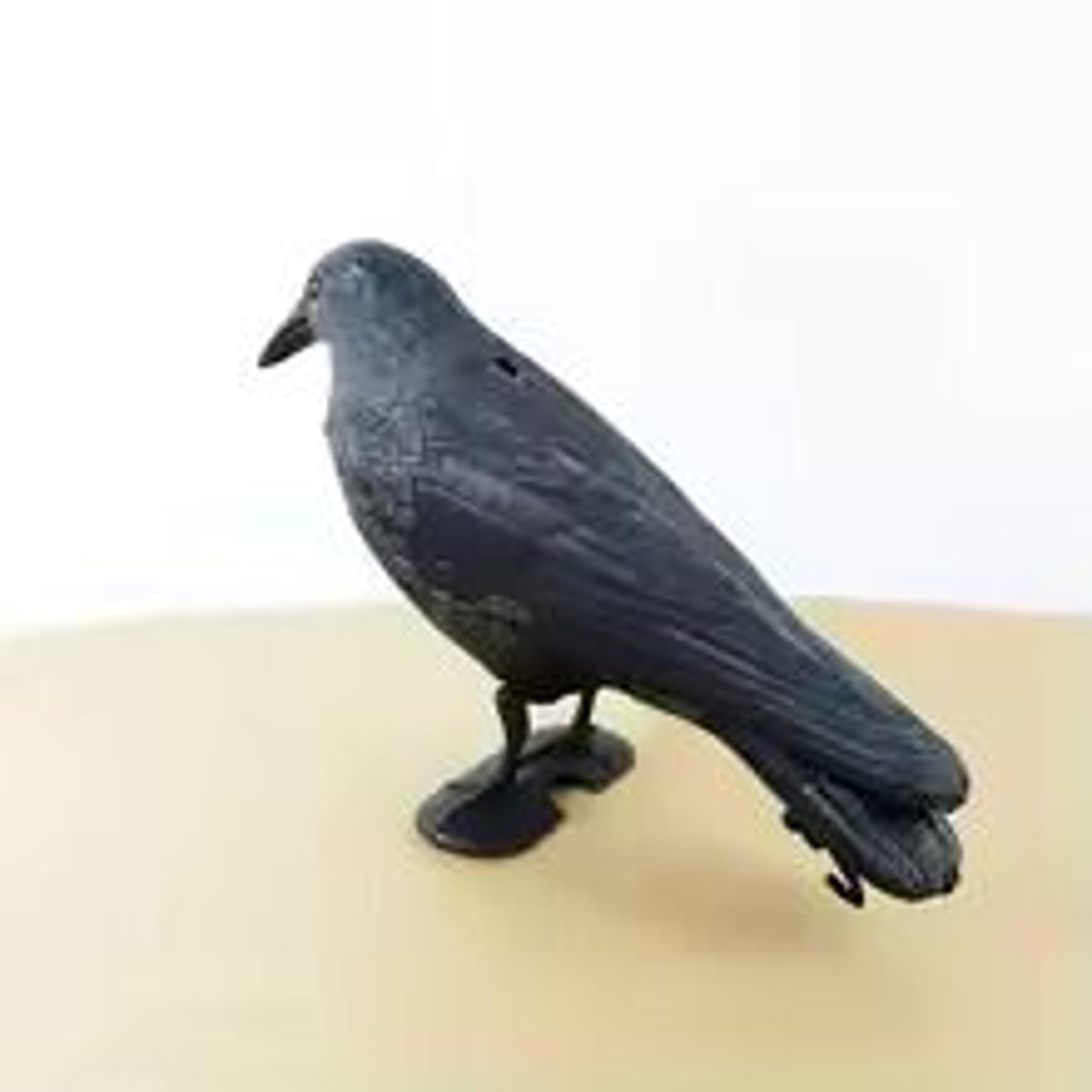 realistic black raven decoy bird repellent and garden decor