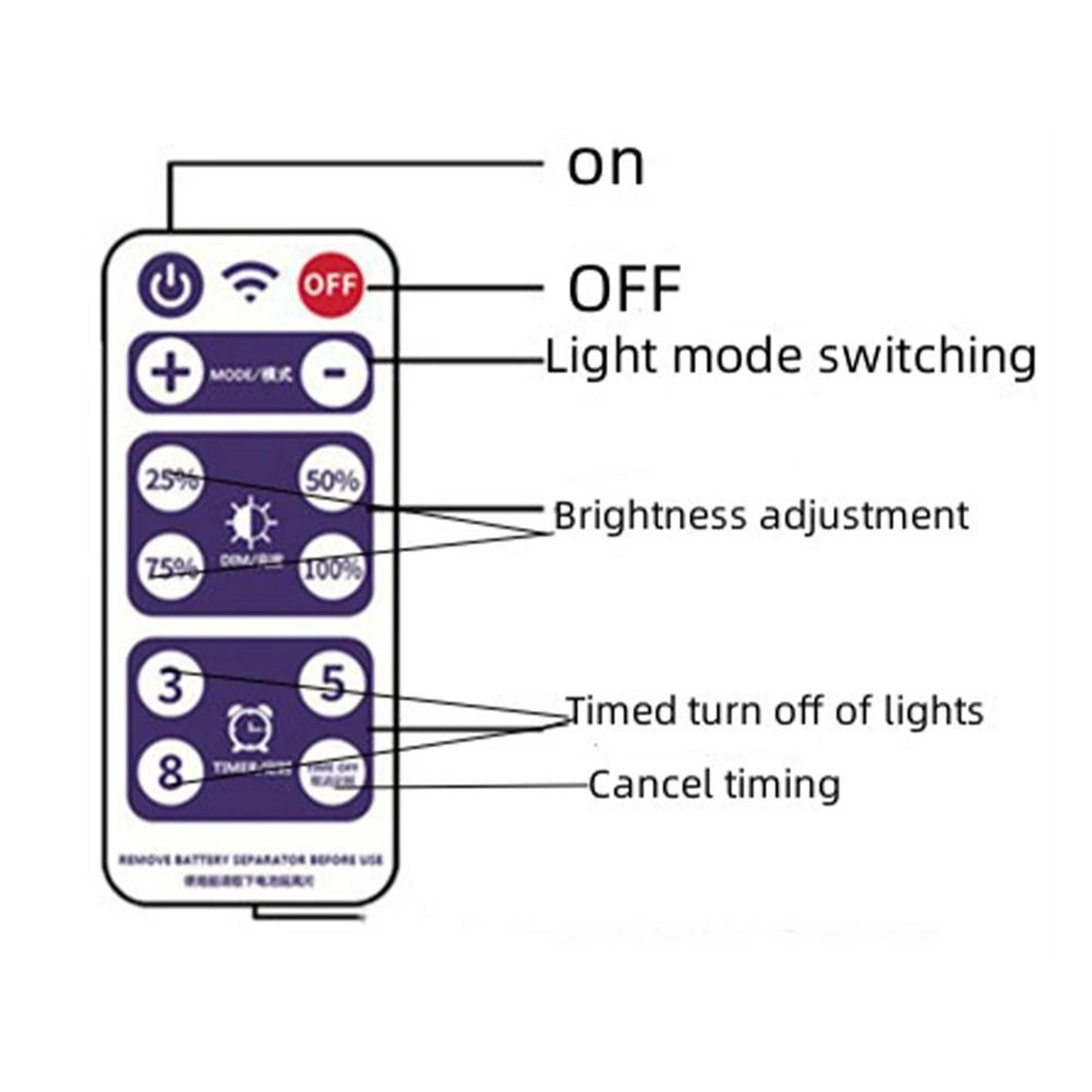 Solar LED String Light Control Box With Remote 5