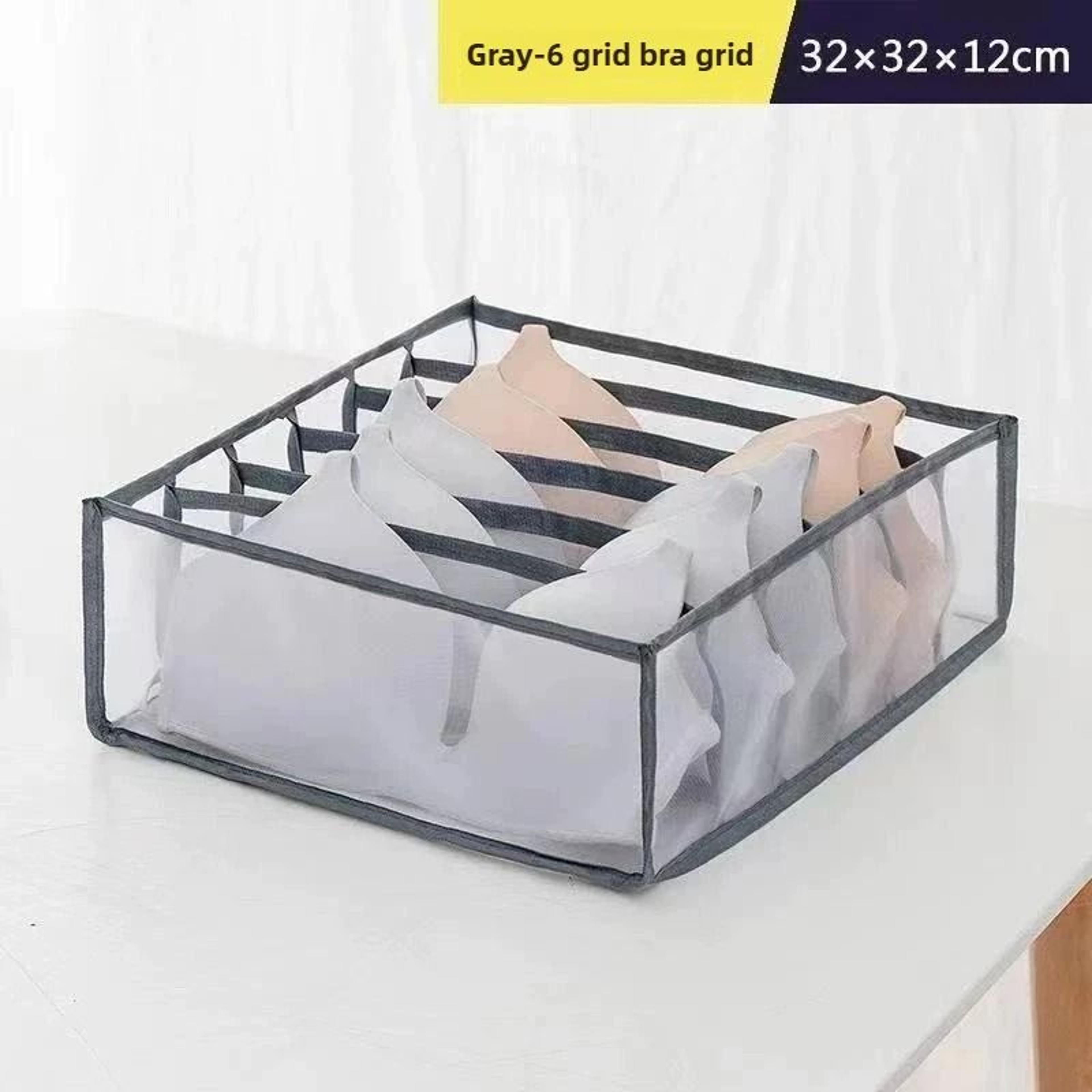 Foldable Mesh Bra And Underwear Organizer 12