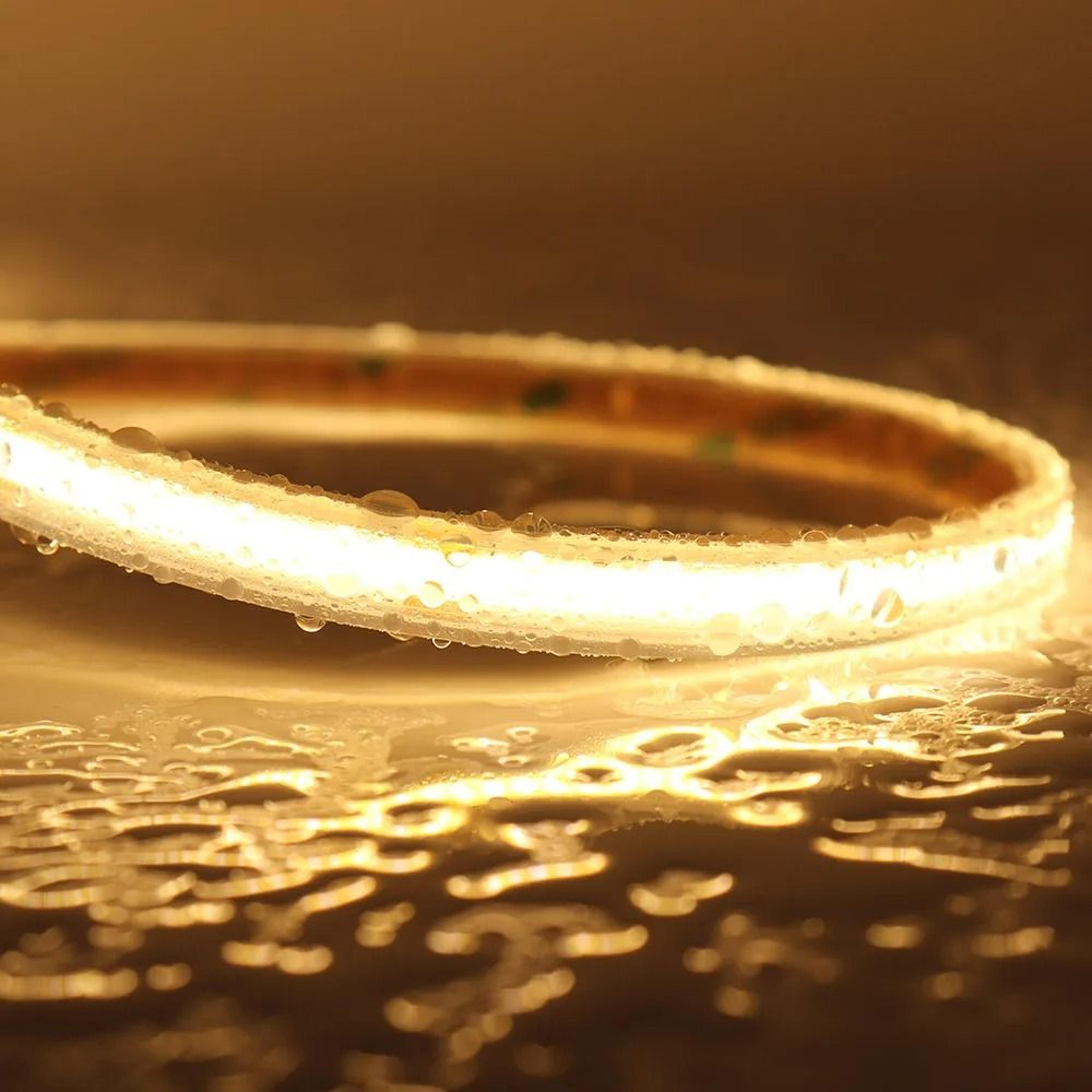 Waterproof COB Outdoor LED Strip 5