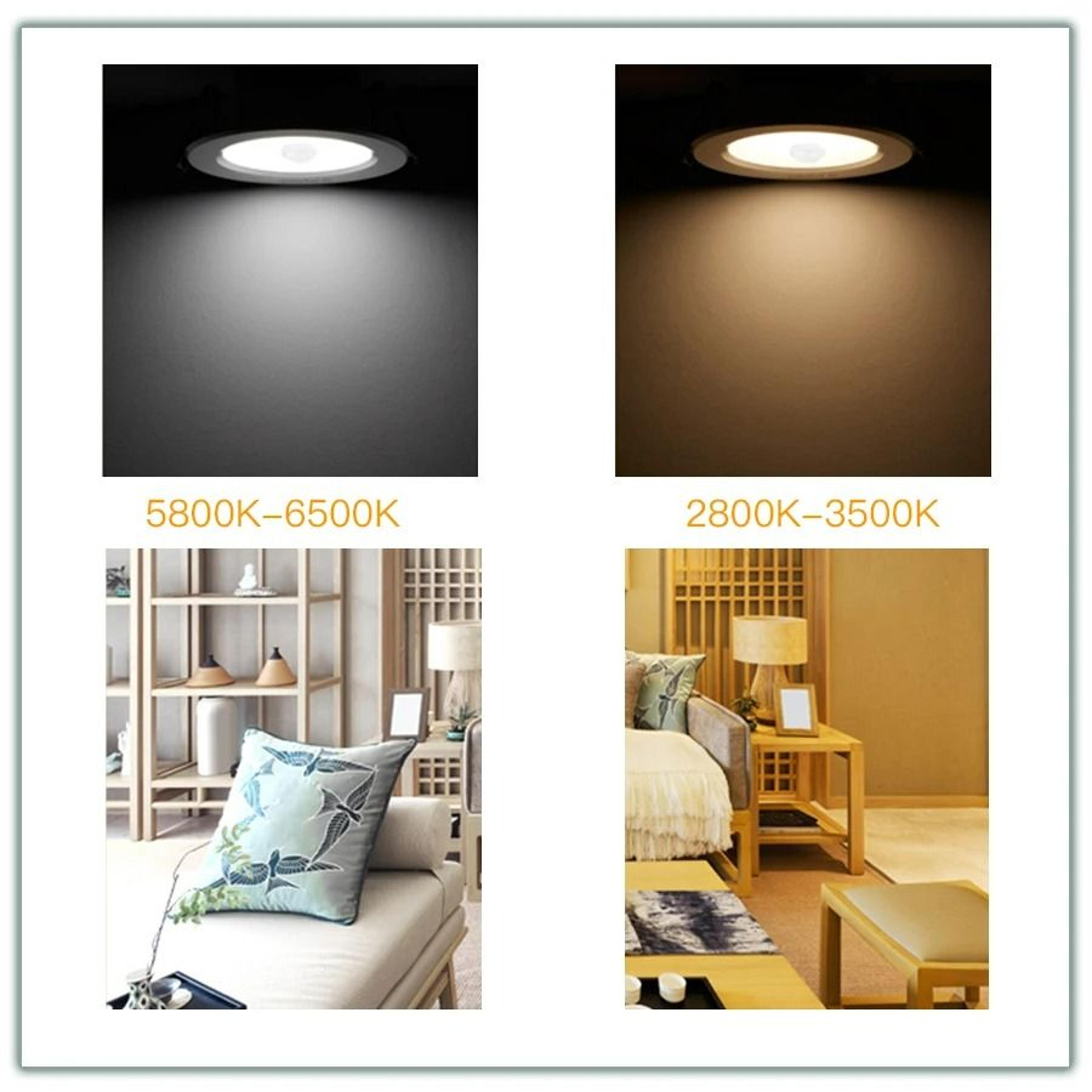 AutoRay PIR Sensor Ceiling Light 2