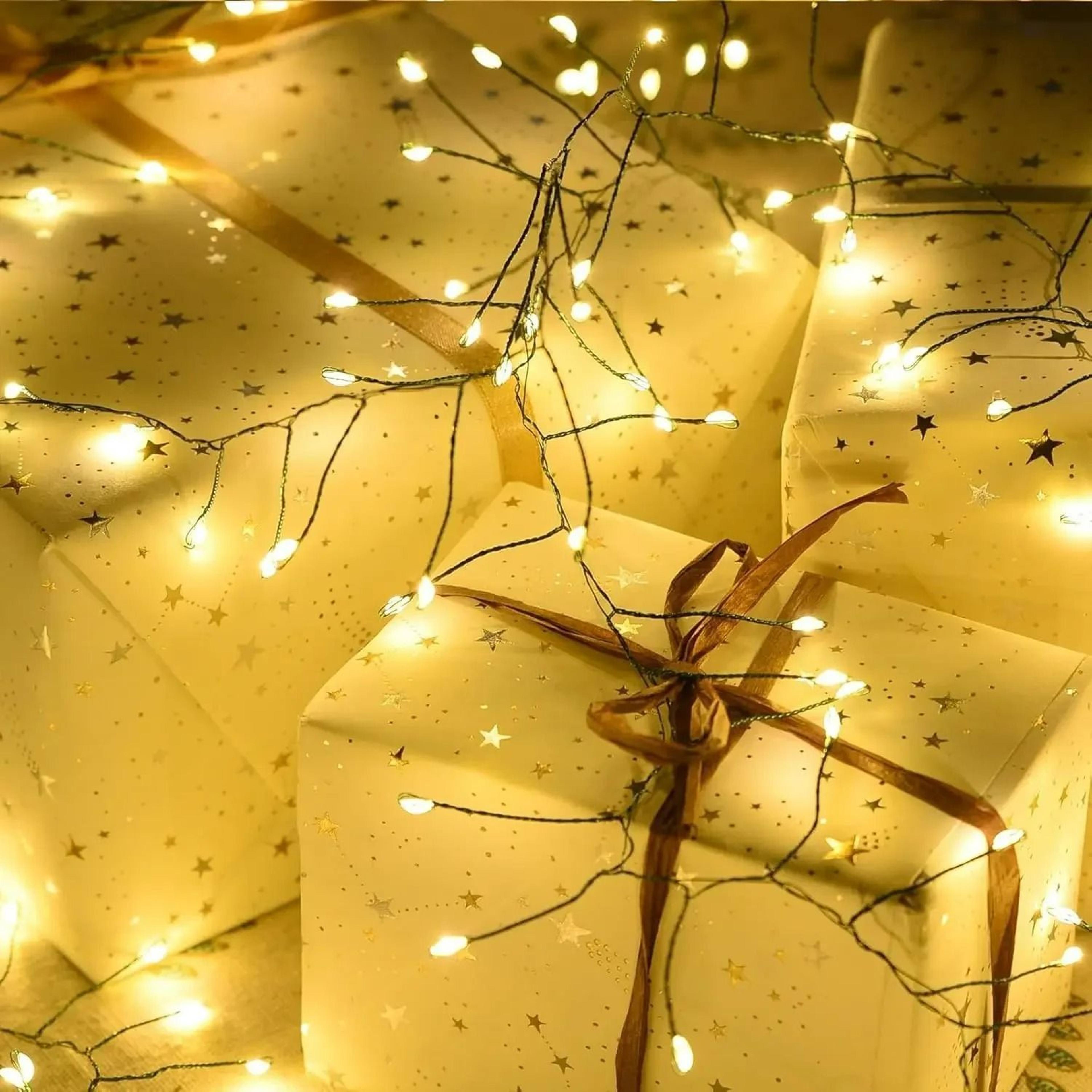 EmberCluster Remote Garland Lights 6