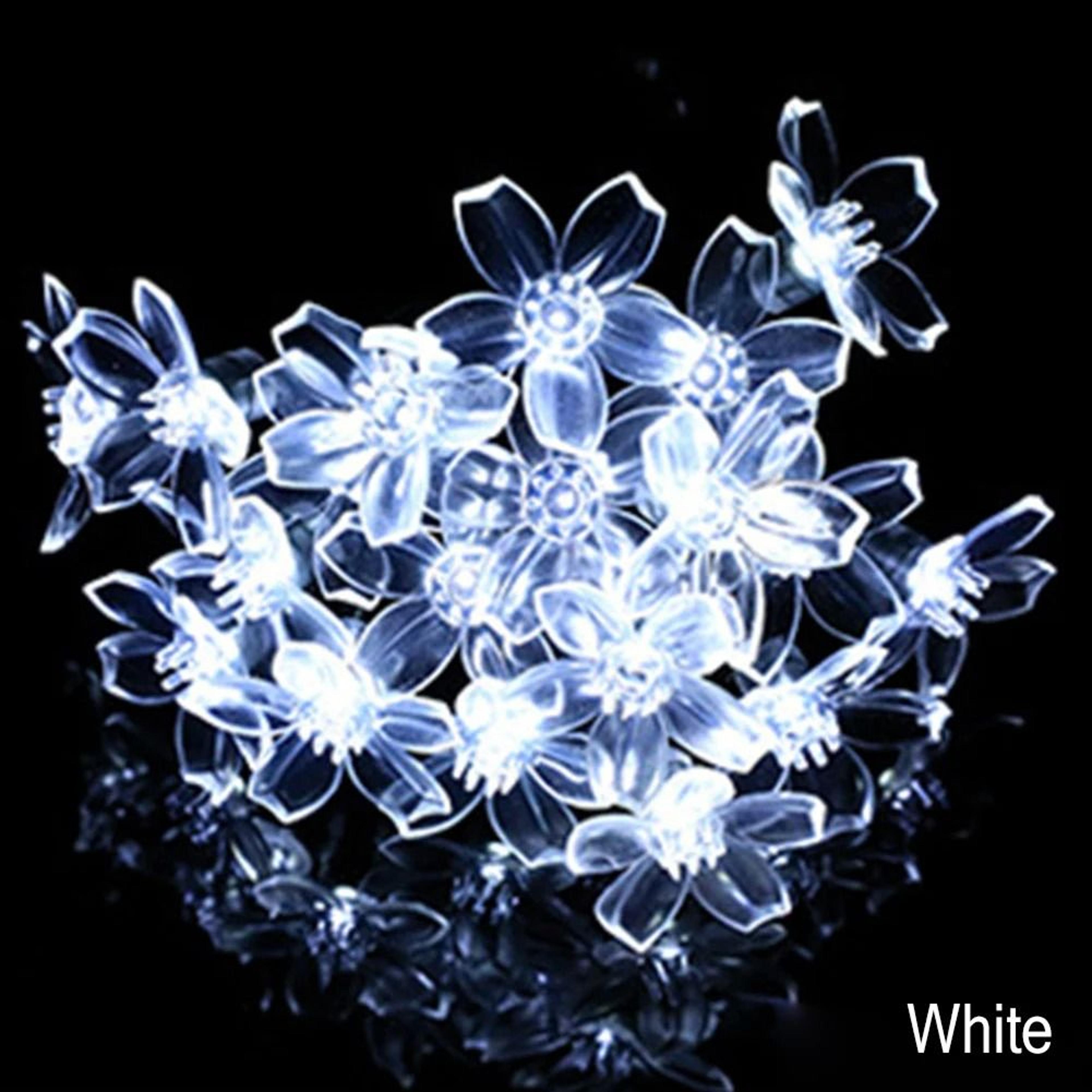 BloomWhisper Cherry Blossom Lights 8