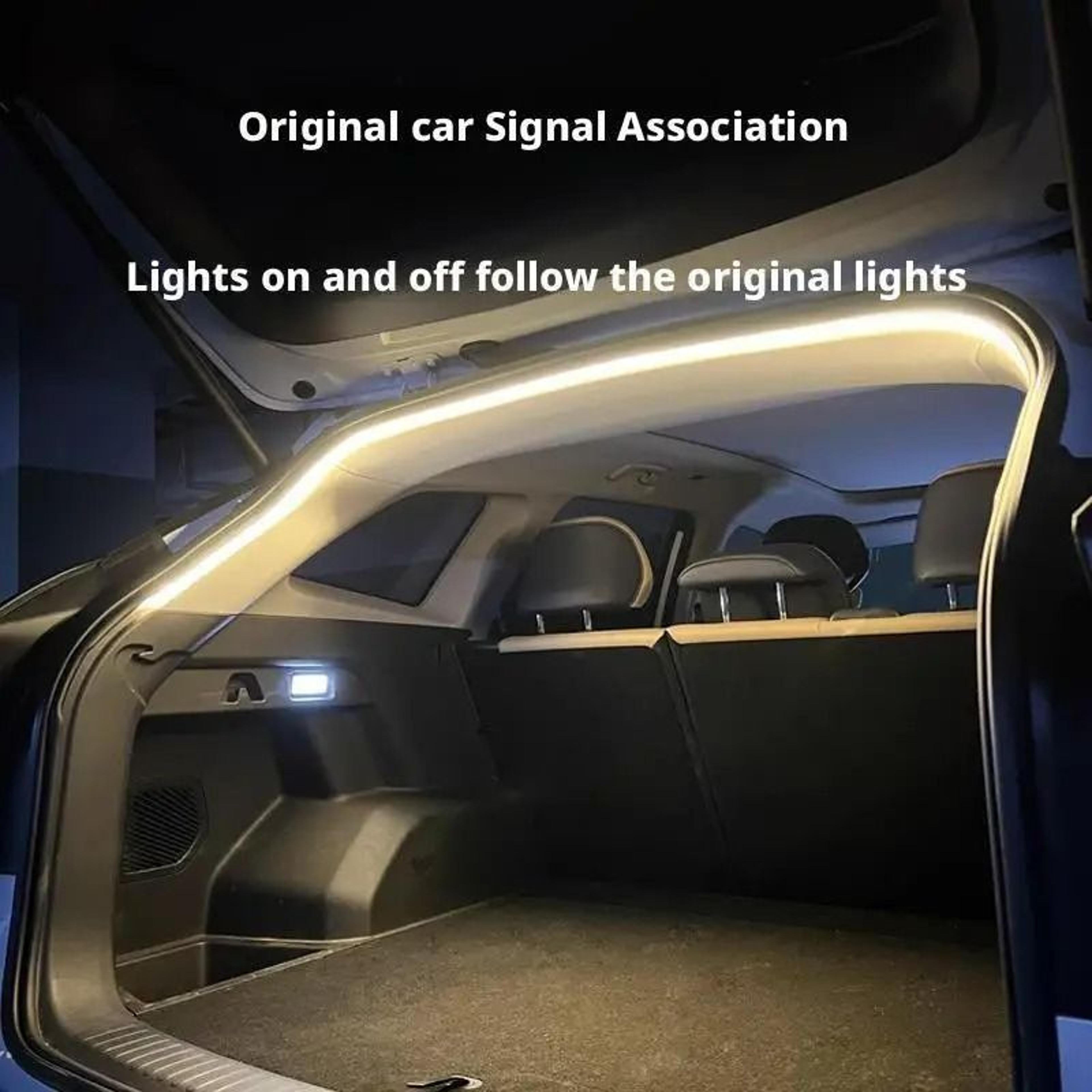 dynamic rgb trunk light strip