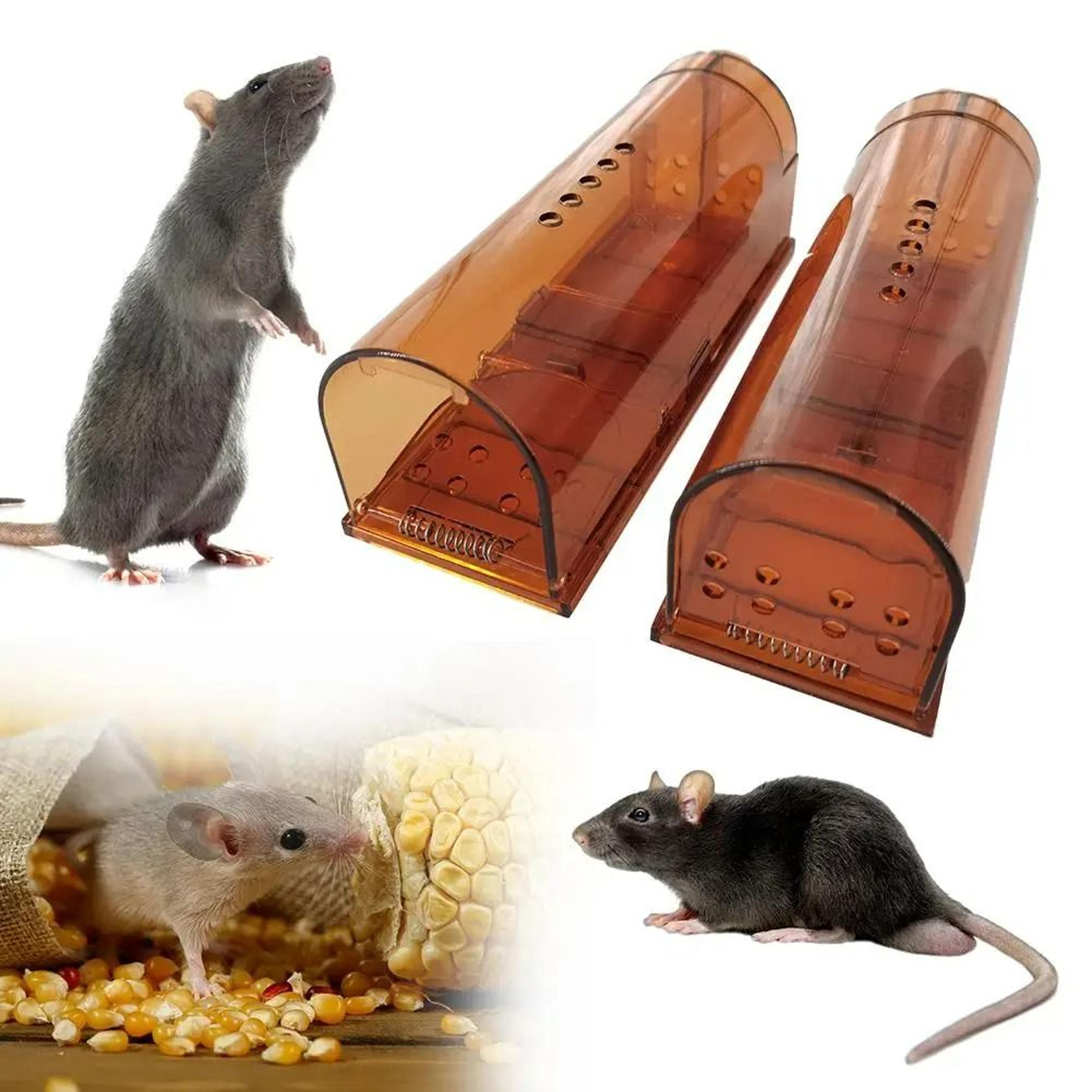 Clear Lock Mouse Catcher 4