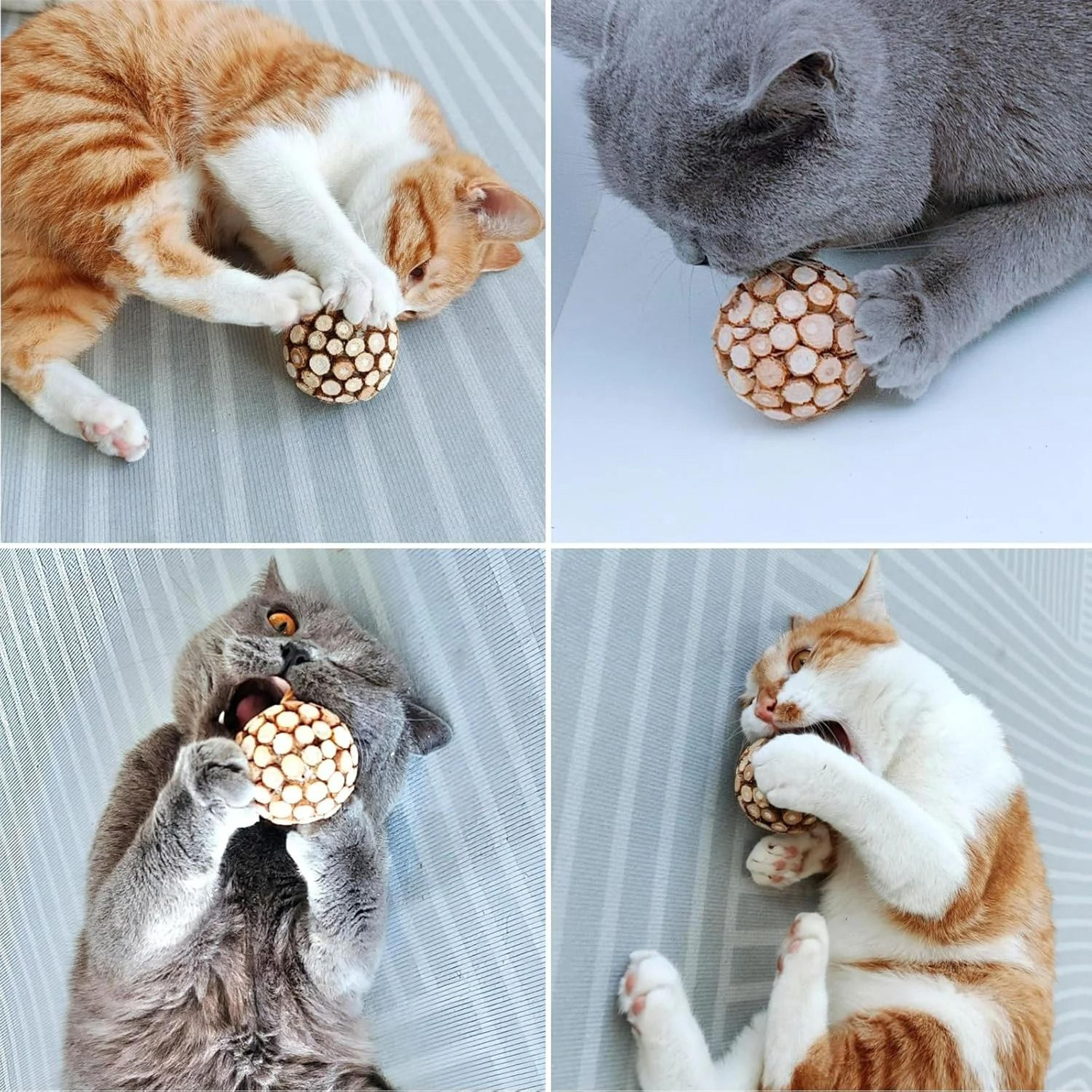 SilverPaws Silvervine Chew Toy 2