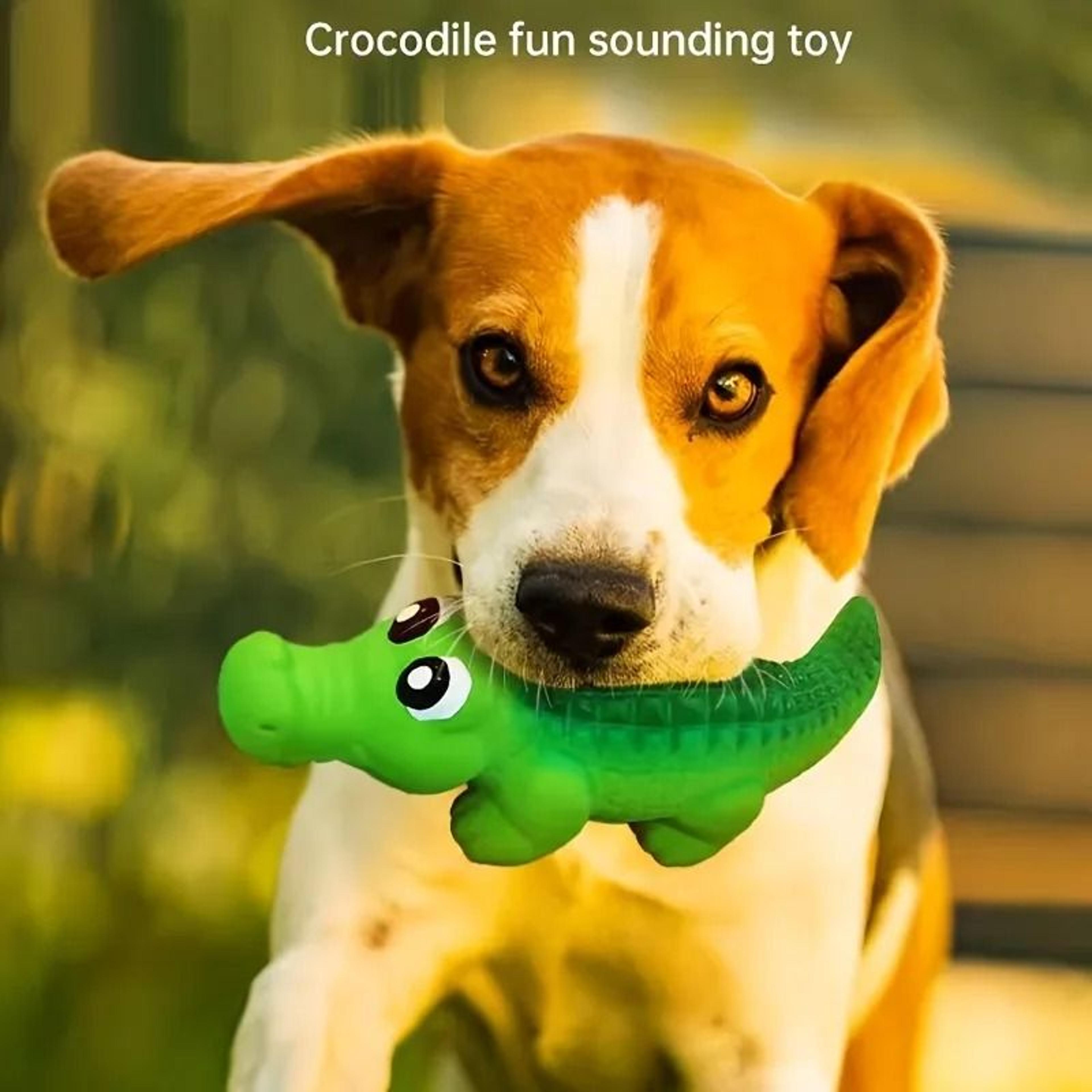 SharkChomp Squeaky Dog Ball 2