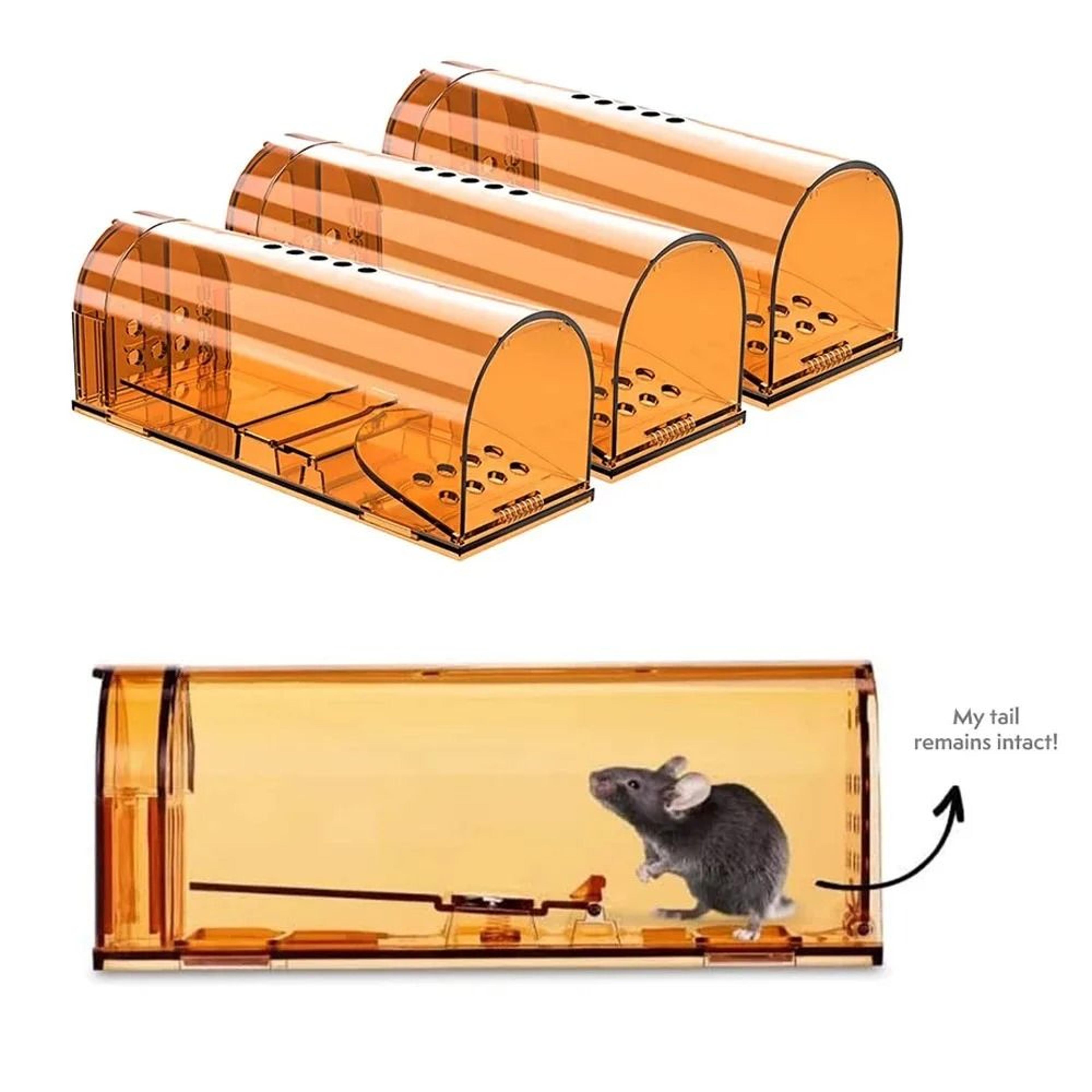 CatchKind Live Mouse Trap 0
